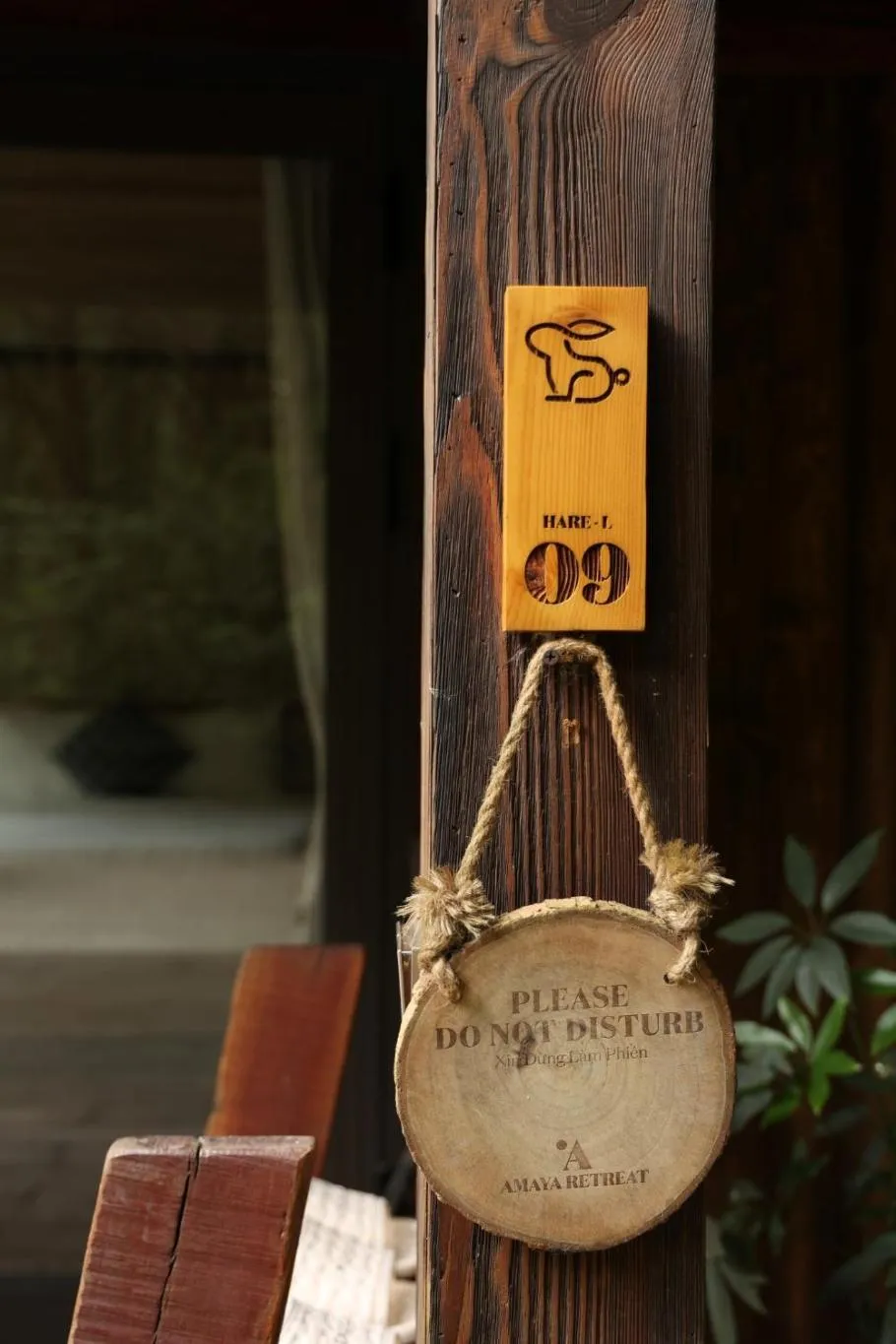 Logo/Certificate/Sign in Amaya Retreat