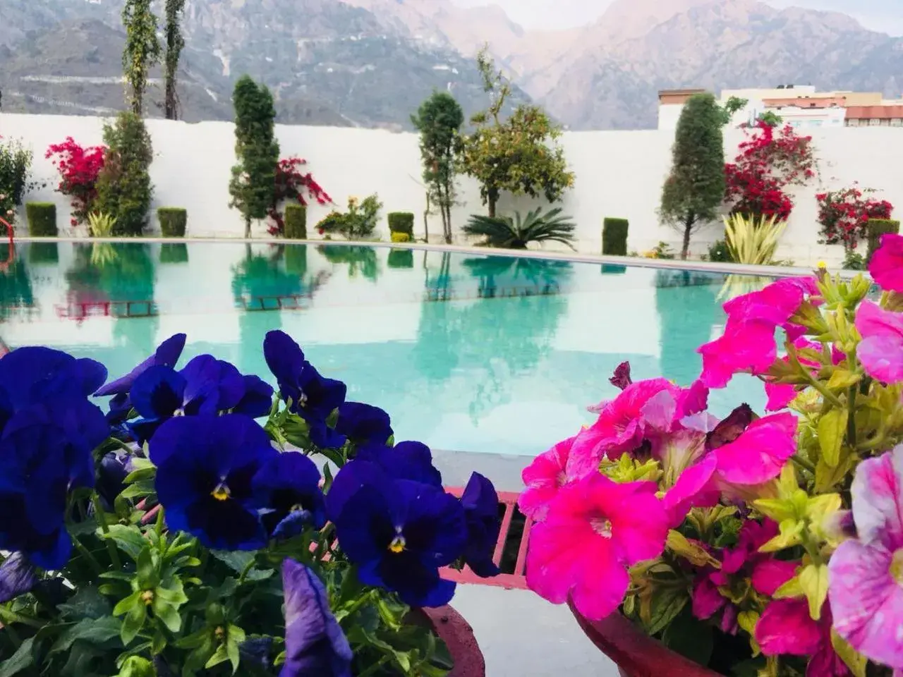 Swimming pool in Hotel Asia Vaishnodevi By Geetanjali Group of Hotels Swimming pool in Hotel Asia Vaishnodevi By Geetanjali Group of Hotels