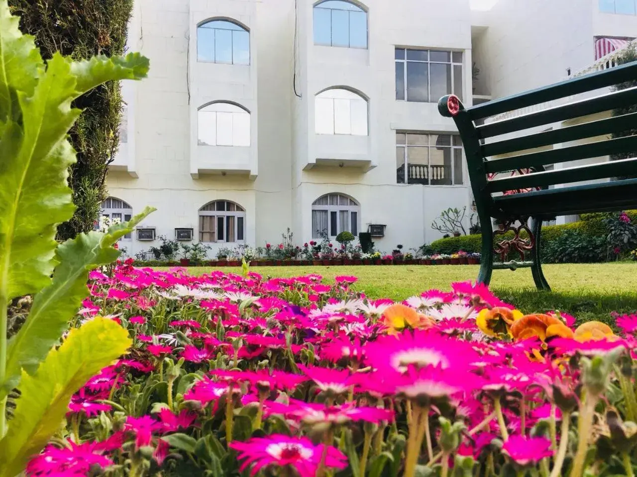 Property building in Hotel Asia Vaishnodevi By Geetanjali Group of Hotels Property building in Hotel Asia Vaishnodevi By Geetanjali Group of Hotels