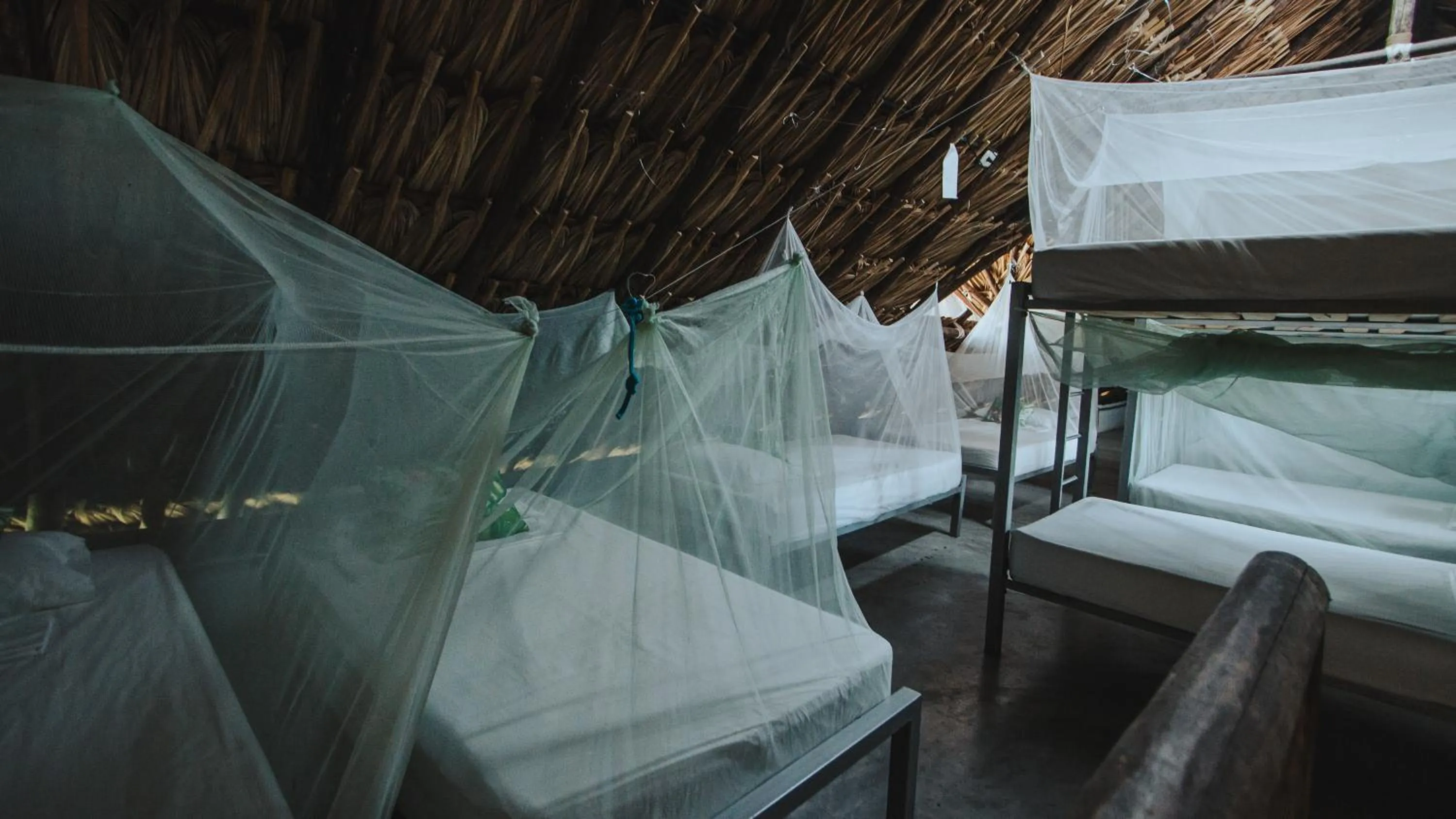 bunk bed, Bed in Makenke Hostel By Los Colores Ecoparque