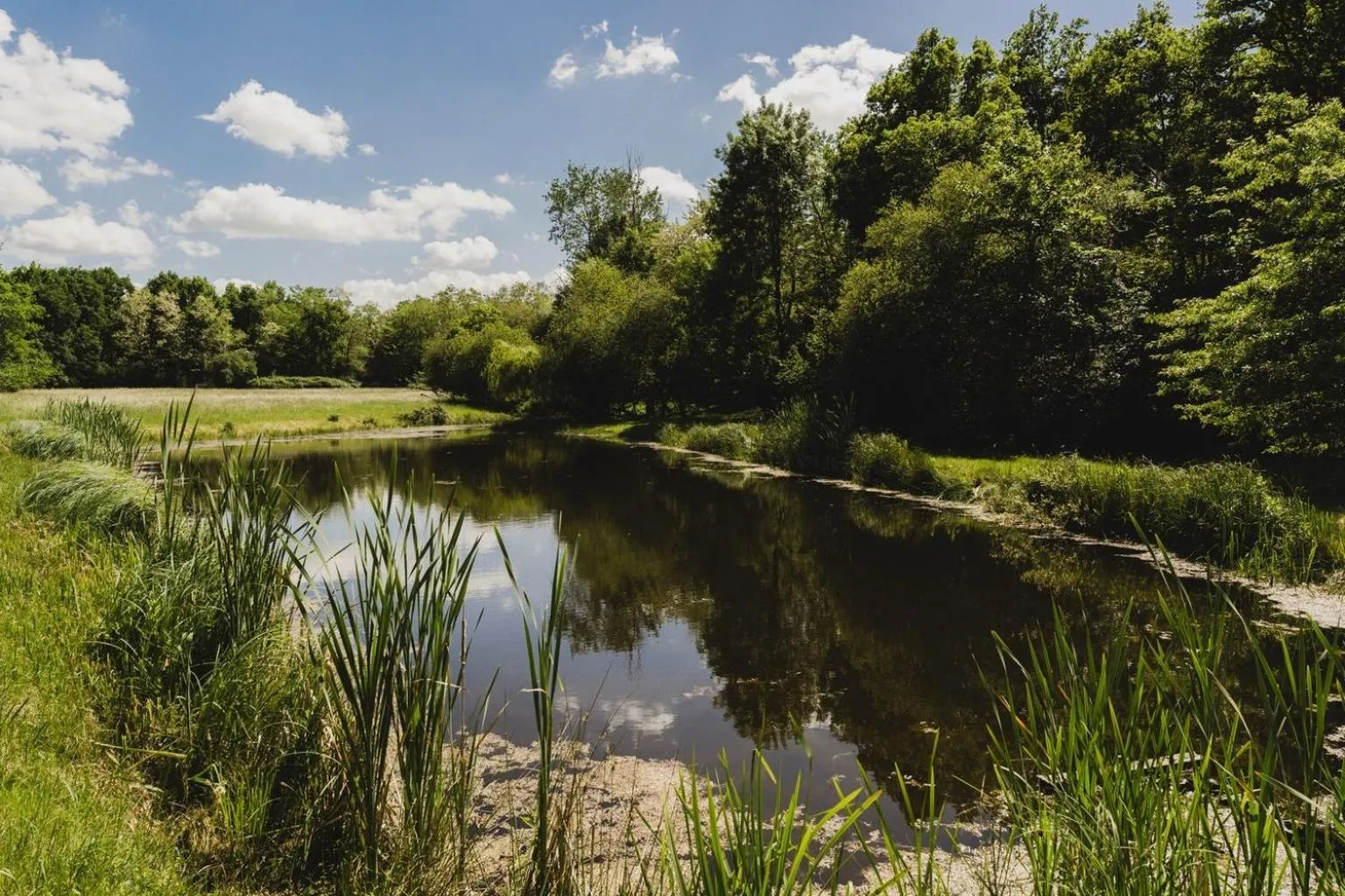 Garden in Domaine de Montizeau