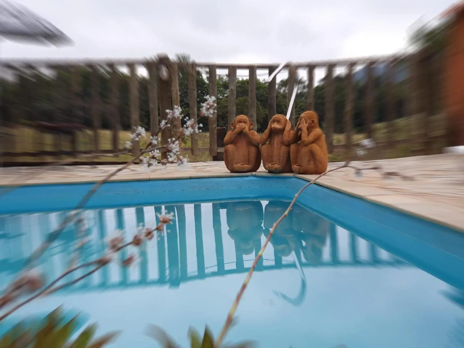 Swimming pool in Pousada Recanto dos Leões