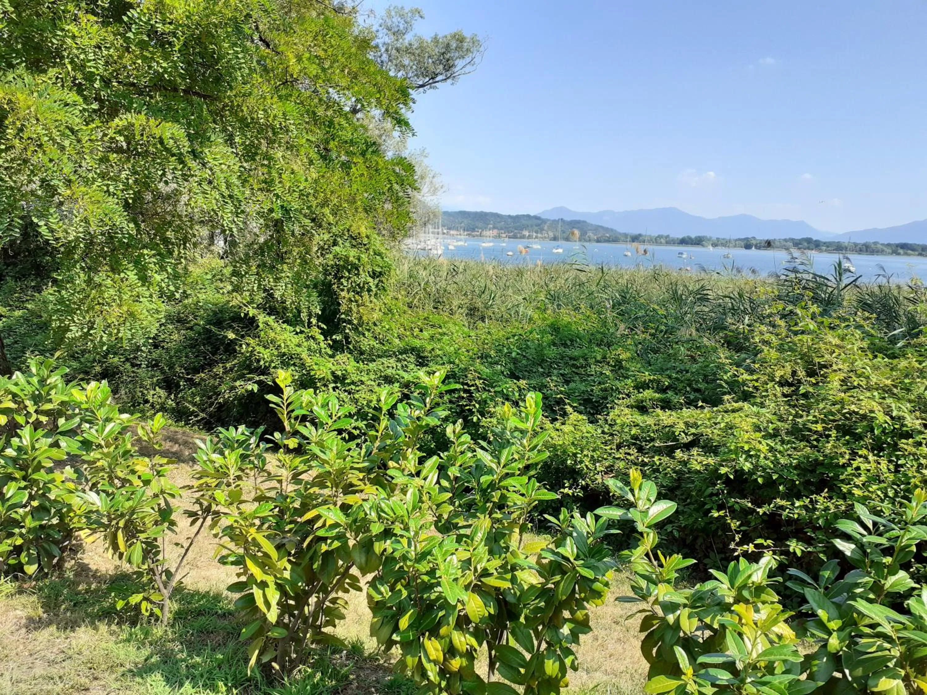 Spring in Room country-lake