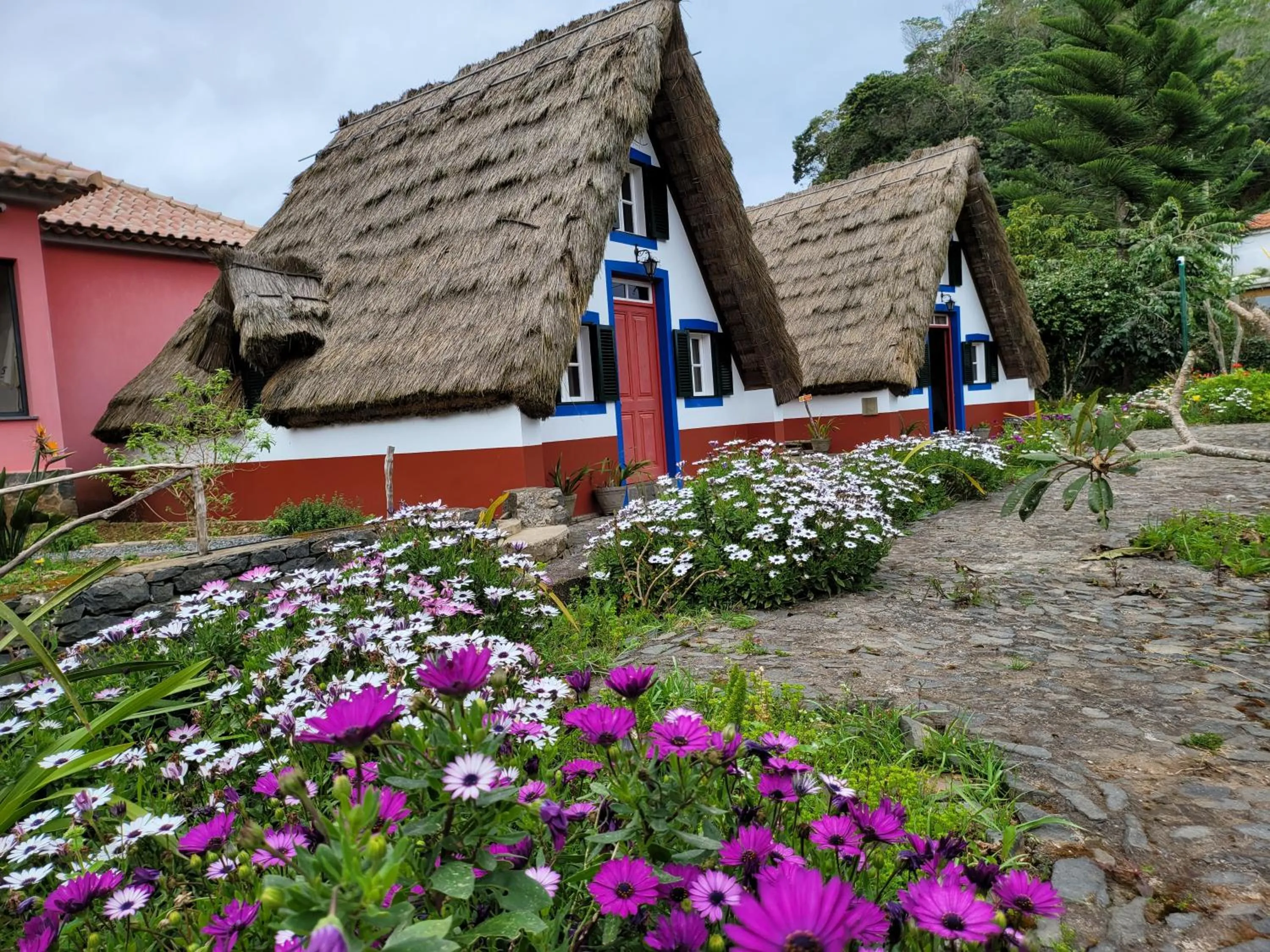 Garden in Sleep and Go in Santana in Nature B&B