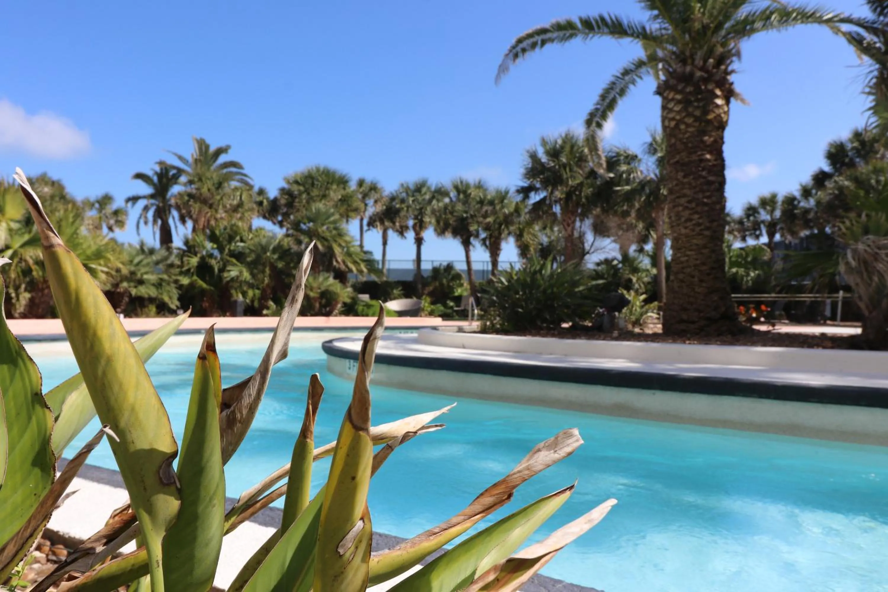 Beachfront Laid Back and Luxurious Diamond Beach Condo - Amazing Pools Amenities