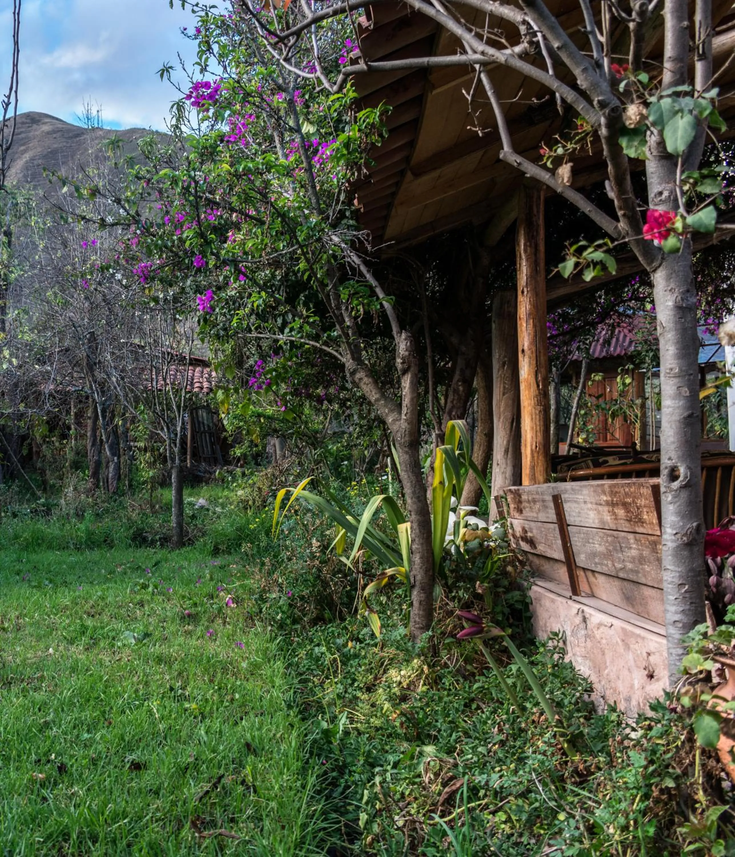 Eco Lodge Los Perales-Urubamba