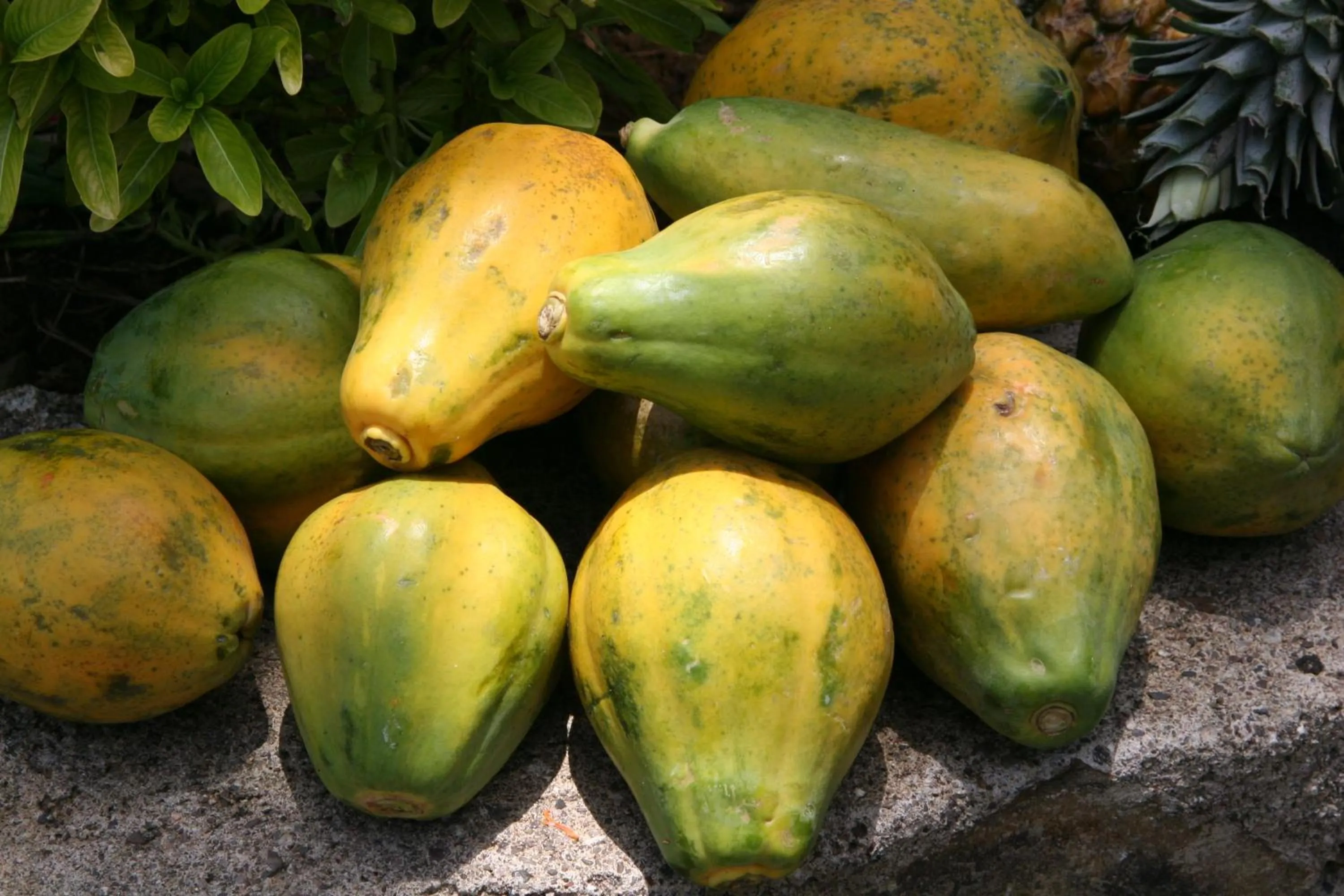 Other in White Sands Negril