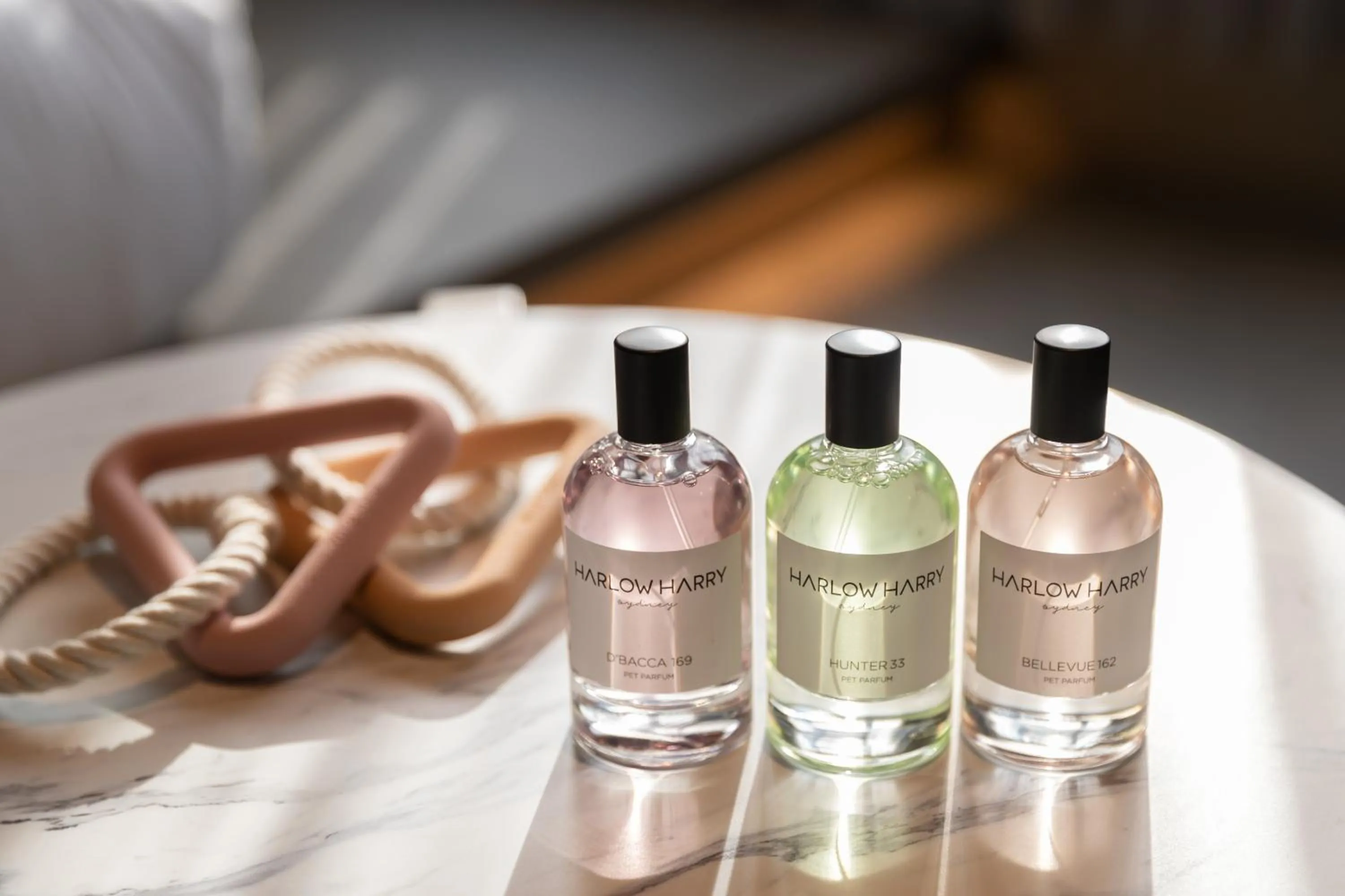 Area and facilities in fav HAKODATE