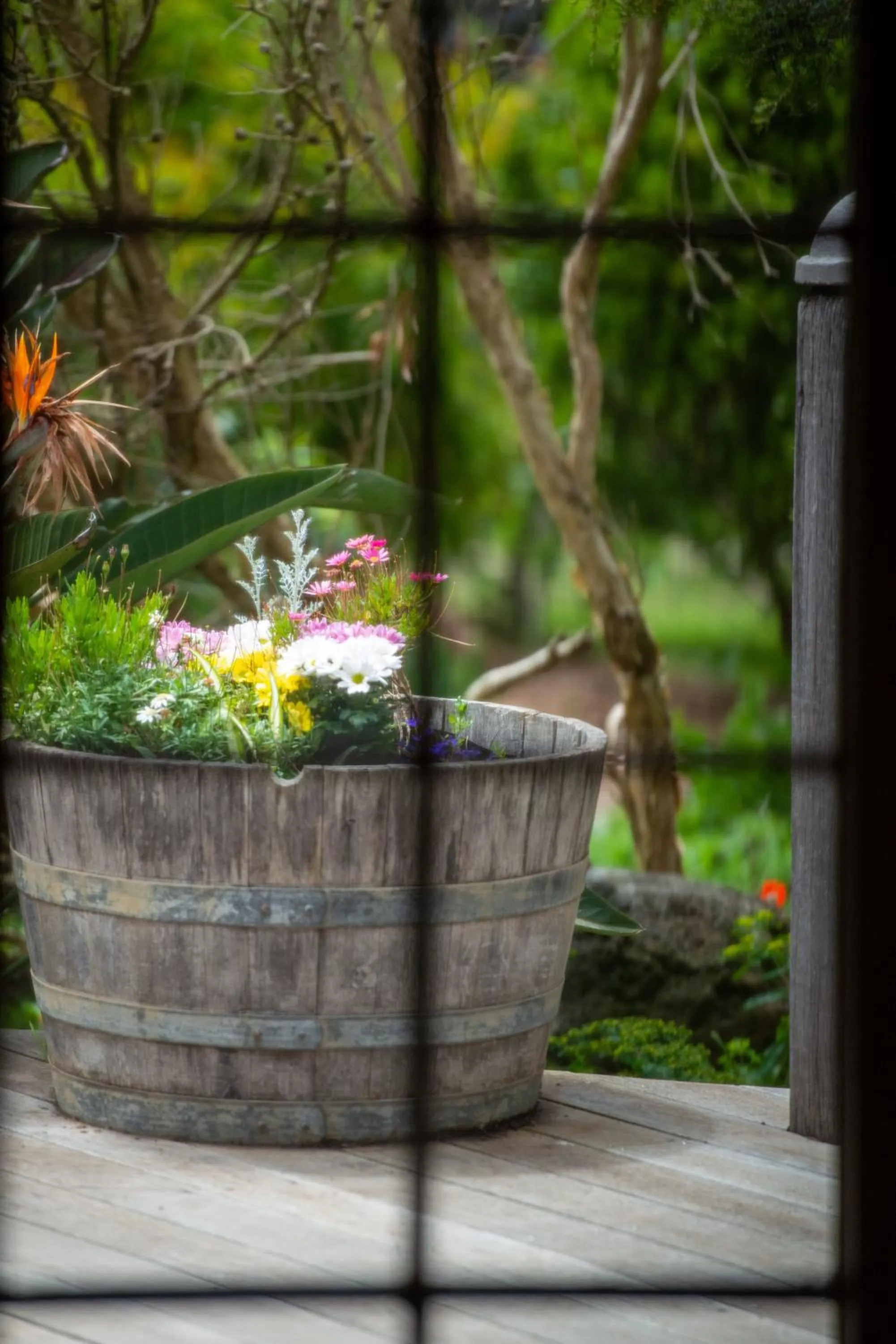 Garden in Rhyll Haven Luxury Getaway Apartments