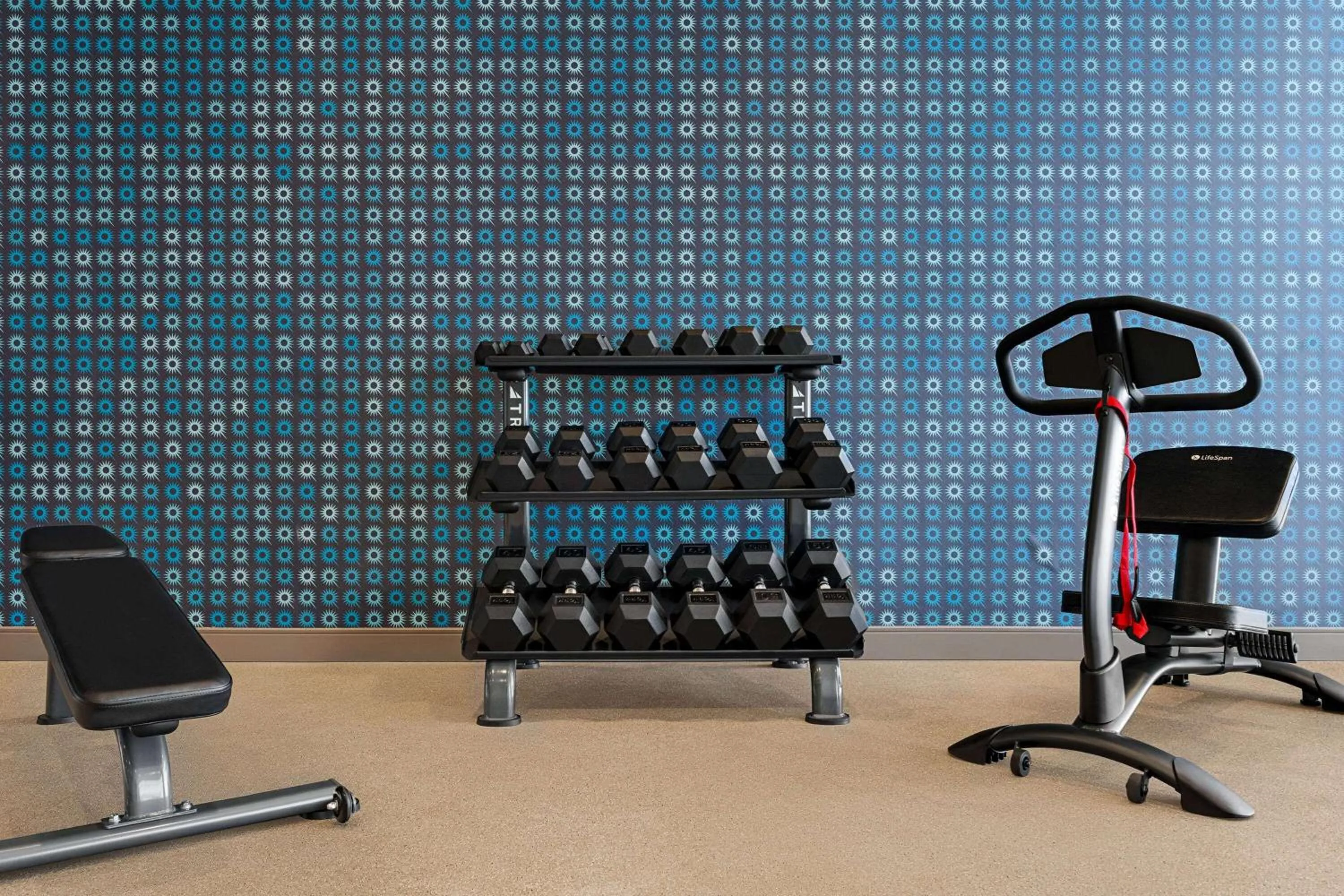 Fitness centre/facilities in La Quinta Inn & Suites by Wyndham Denver Parker
