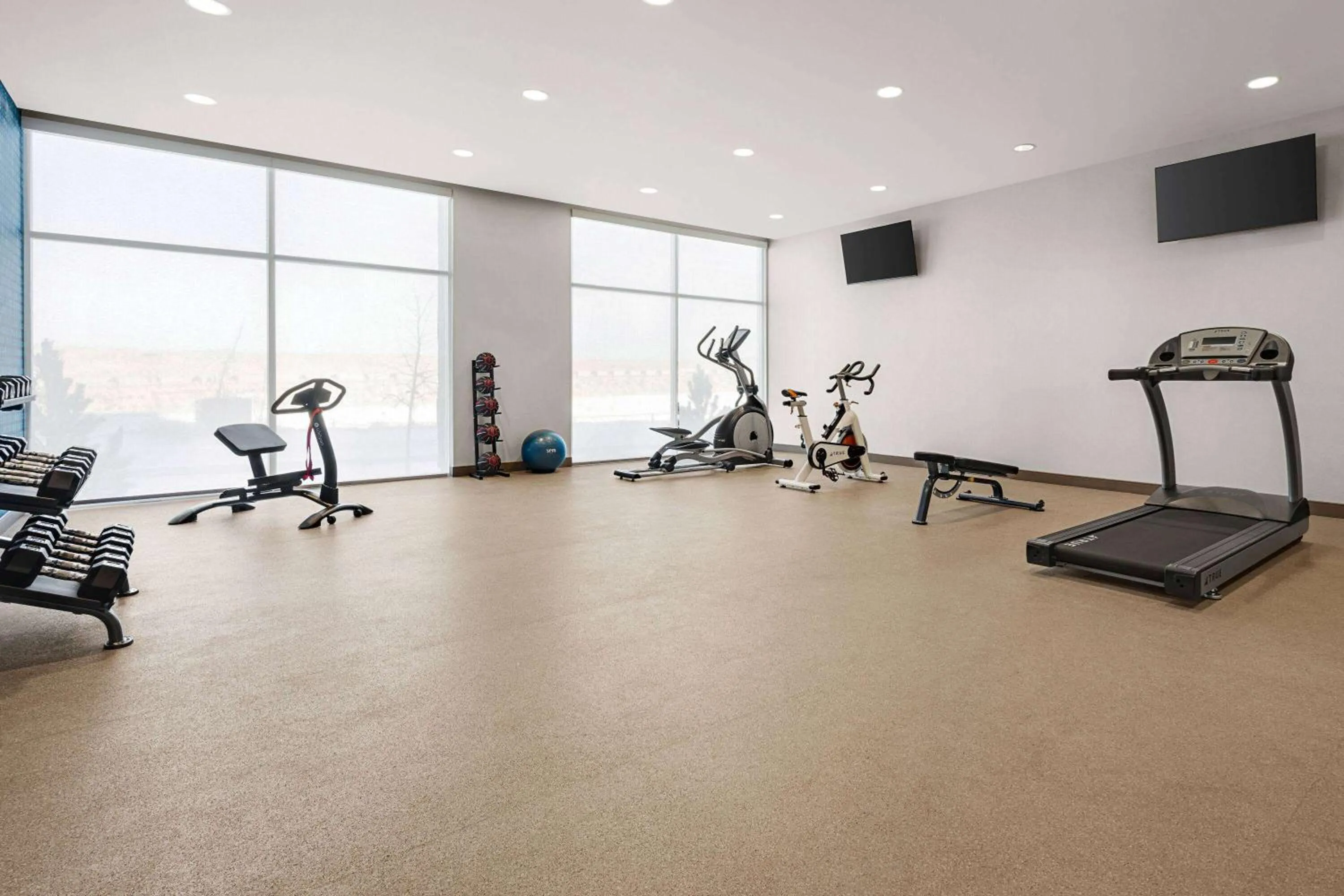 Fitness centre/facilities in La Quinta Inn & Suites by Wyndham Denver Parker