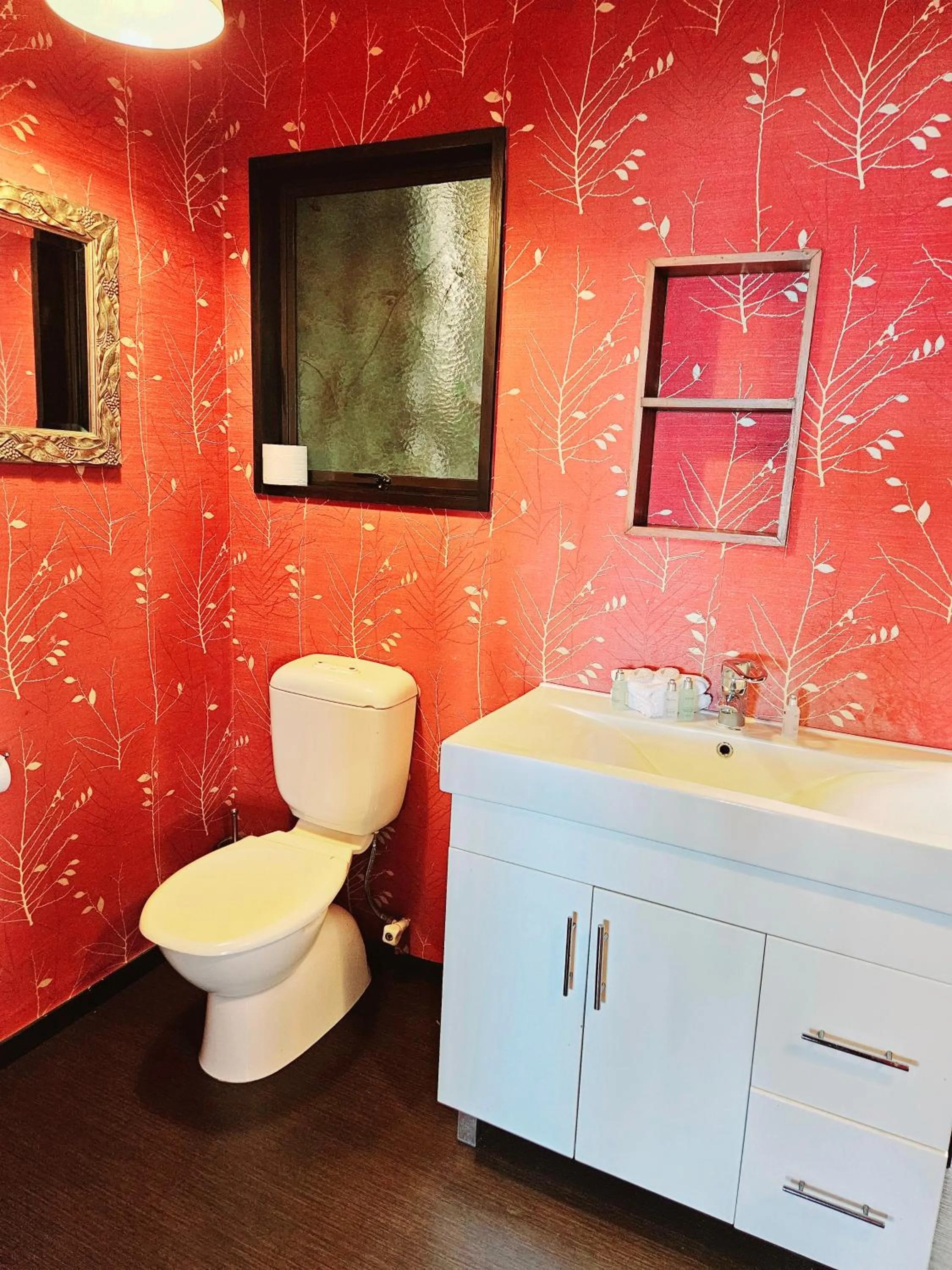 Aorangi Mountain Lodge