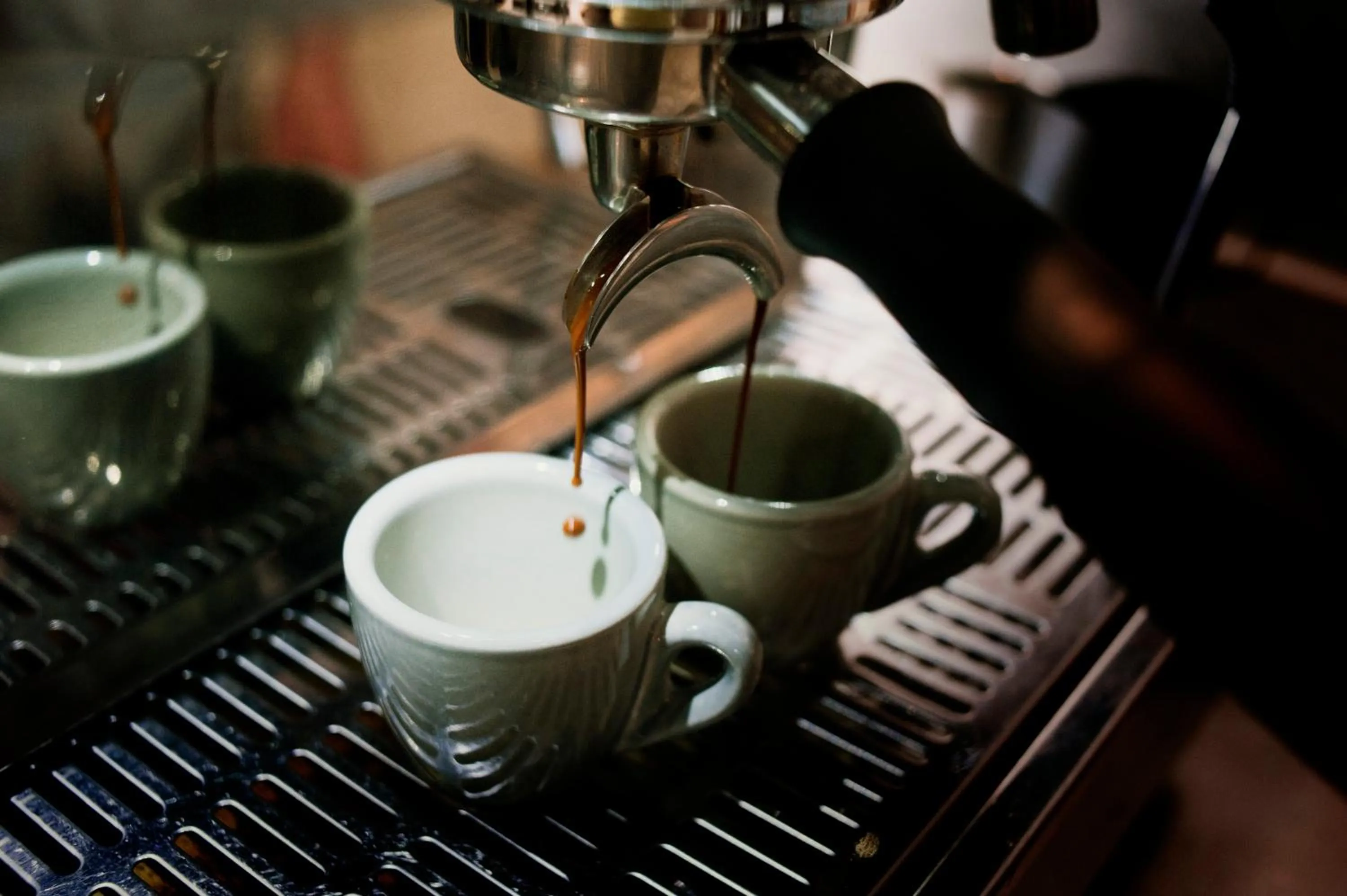 Food and drinks in Gasthaus Canow