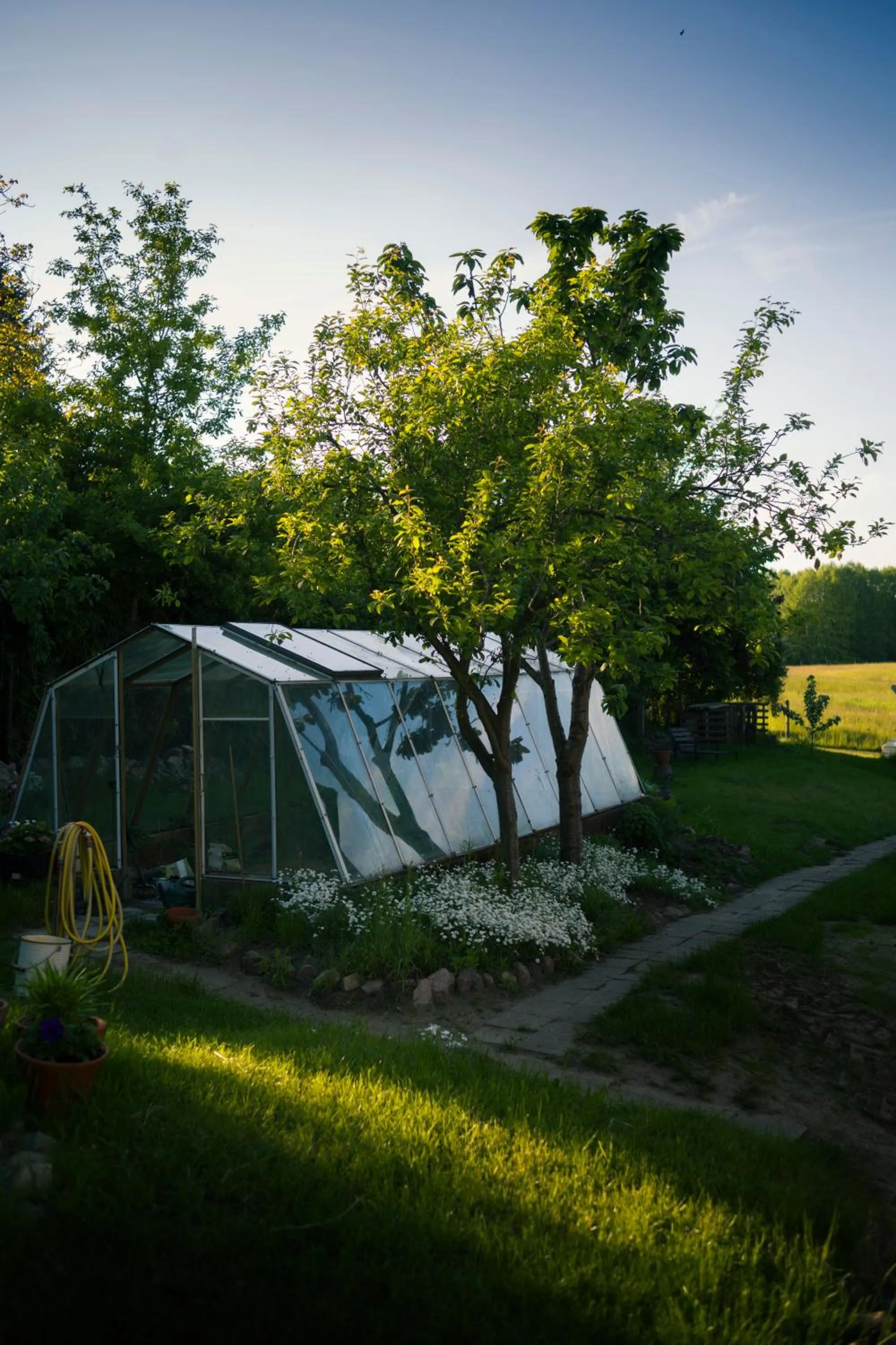 Garden in Gasthaus Canow