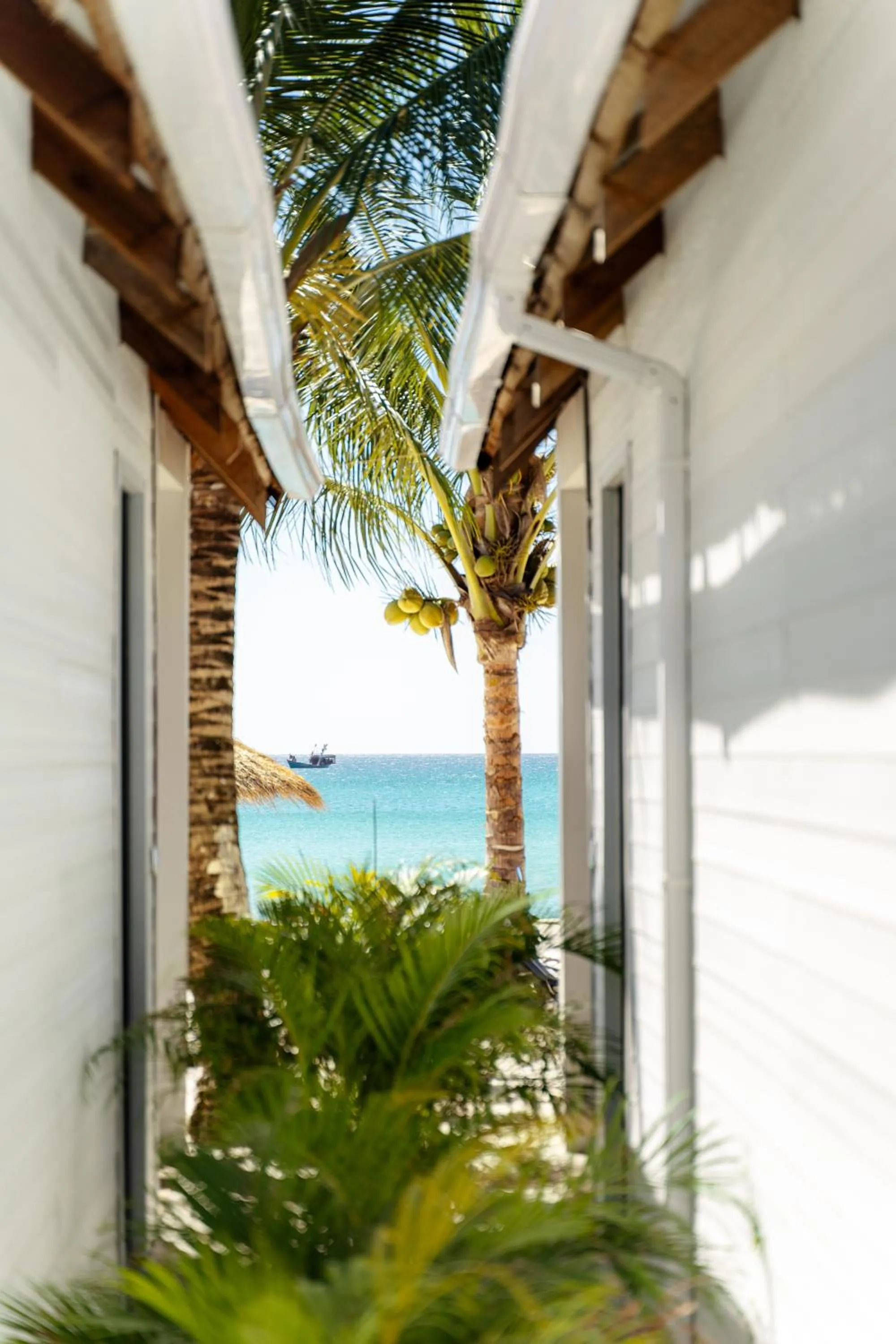 Garden view in Golden Beach Resort