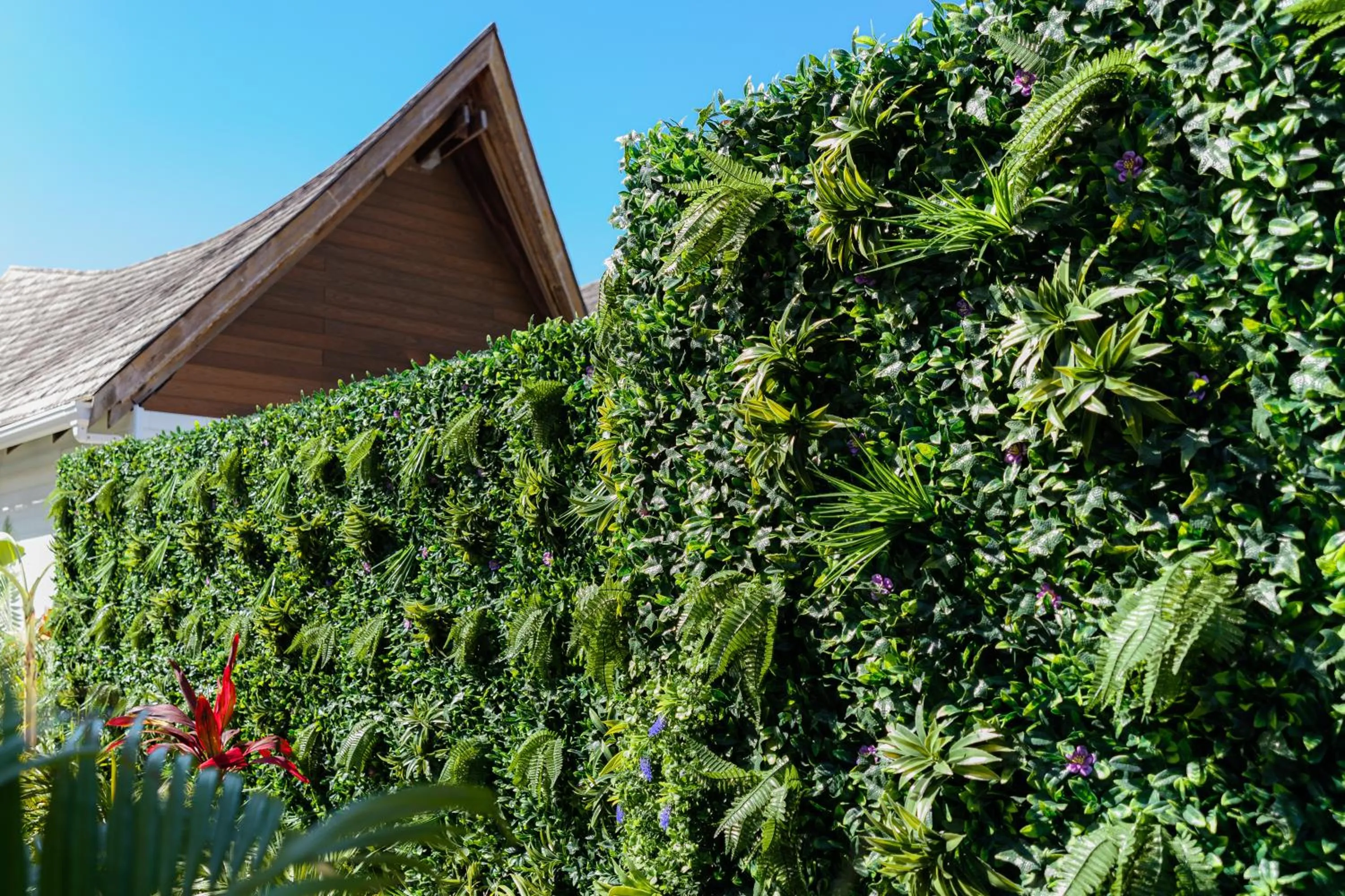 Garden in Golden Beach Resort