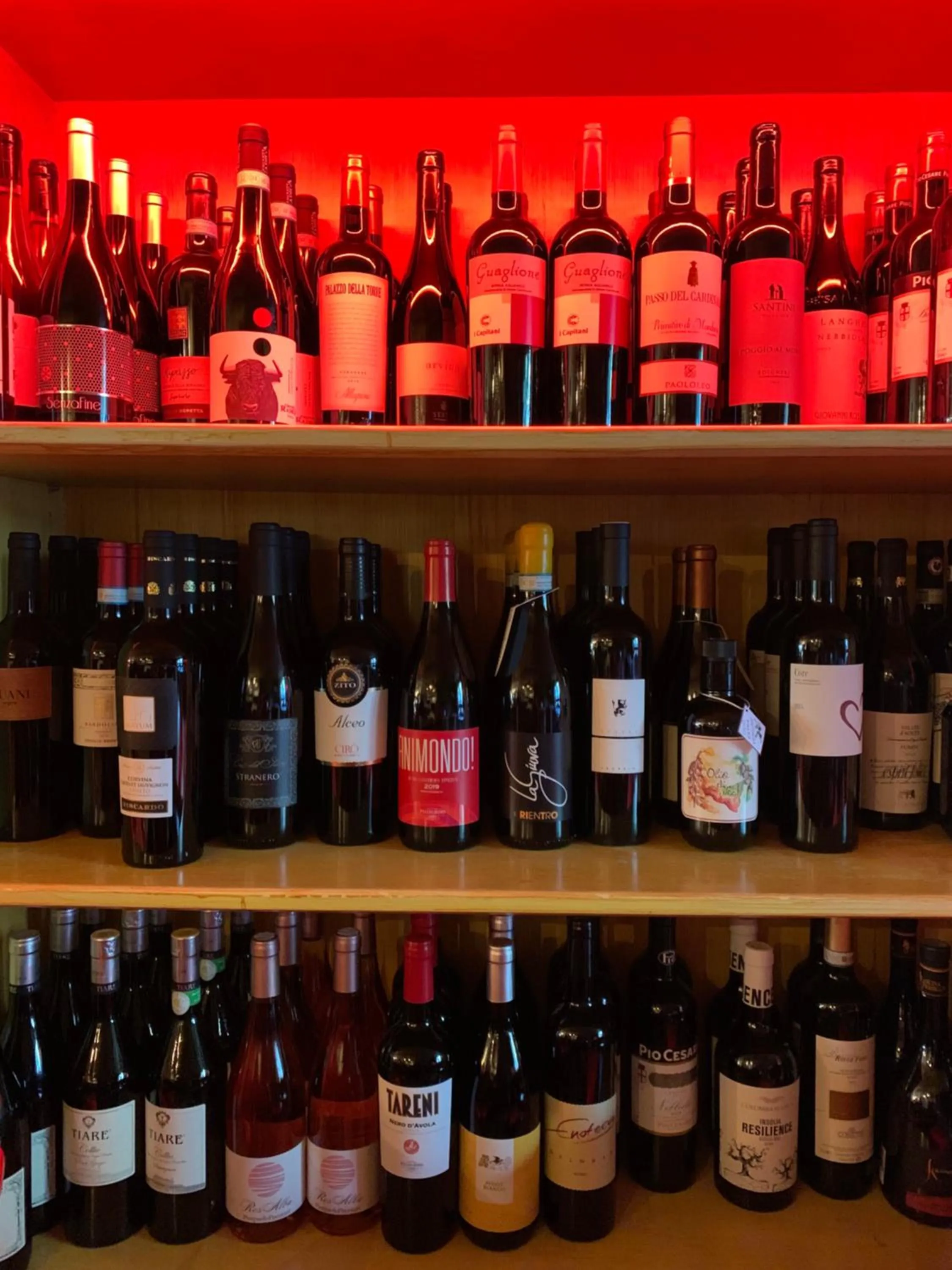 Restaurant/places to eat in Hotel Ristorante La Terrazza