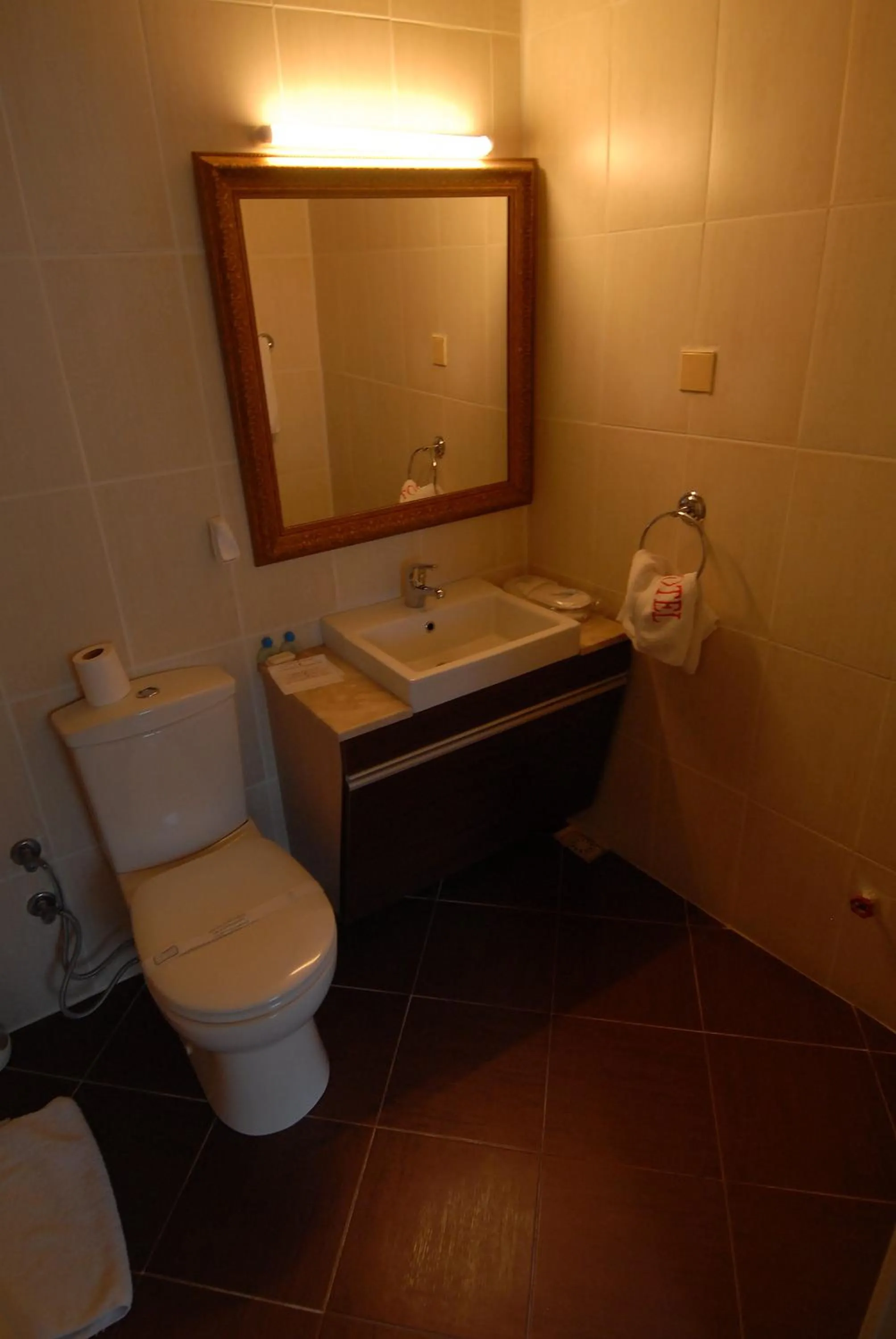Bathroom in Ak Efe Hotel EDİRNE
