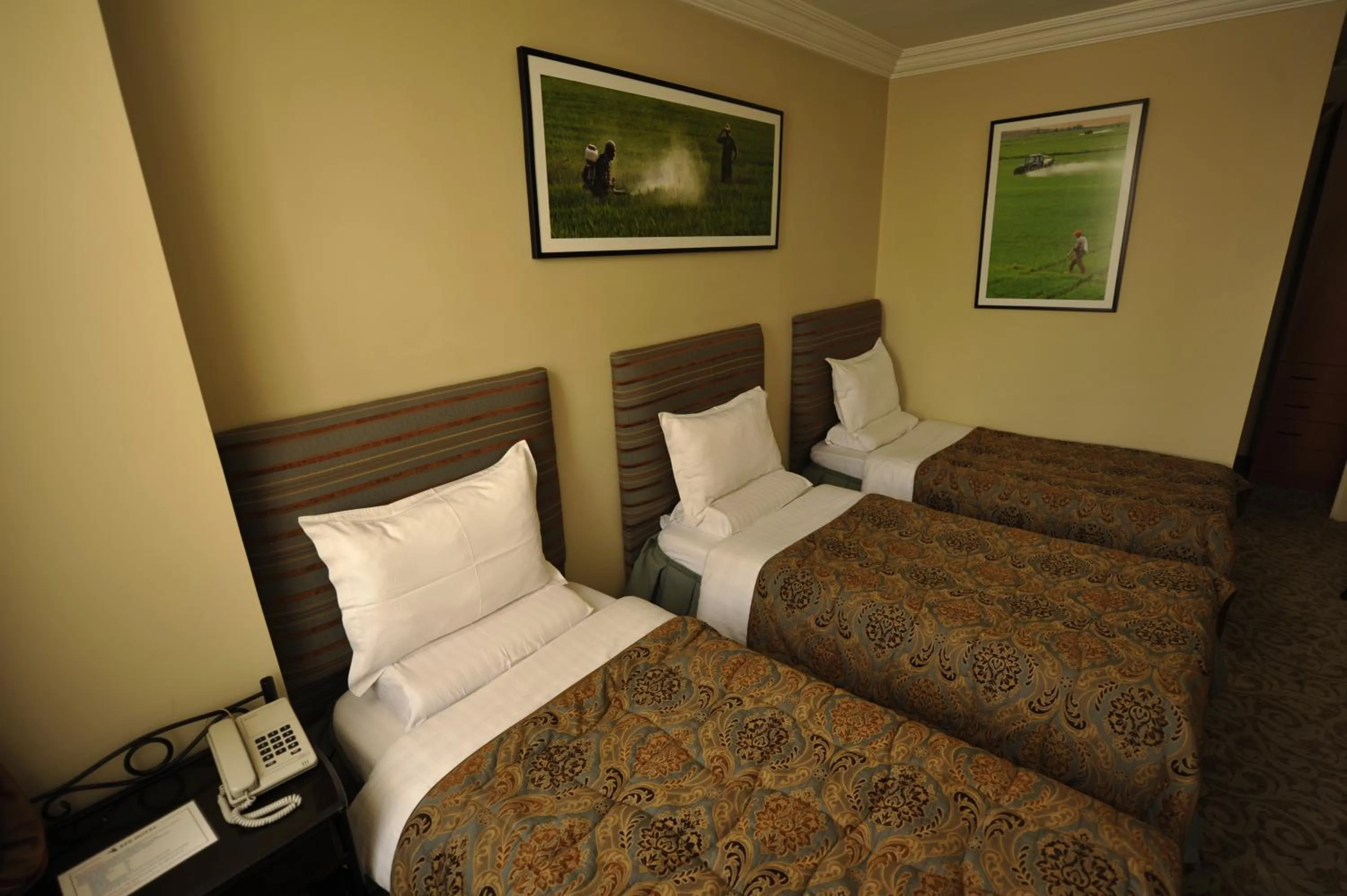 Photo of the whole room, Bed in Ak Efe Hotel EDİRNE