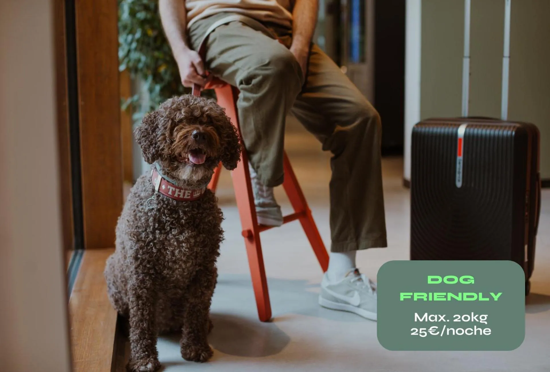 pet friendly in Kora Green City - Aparthotel Passivhaus