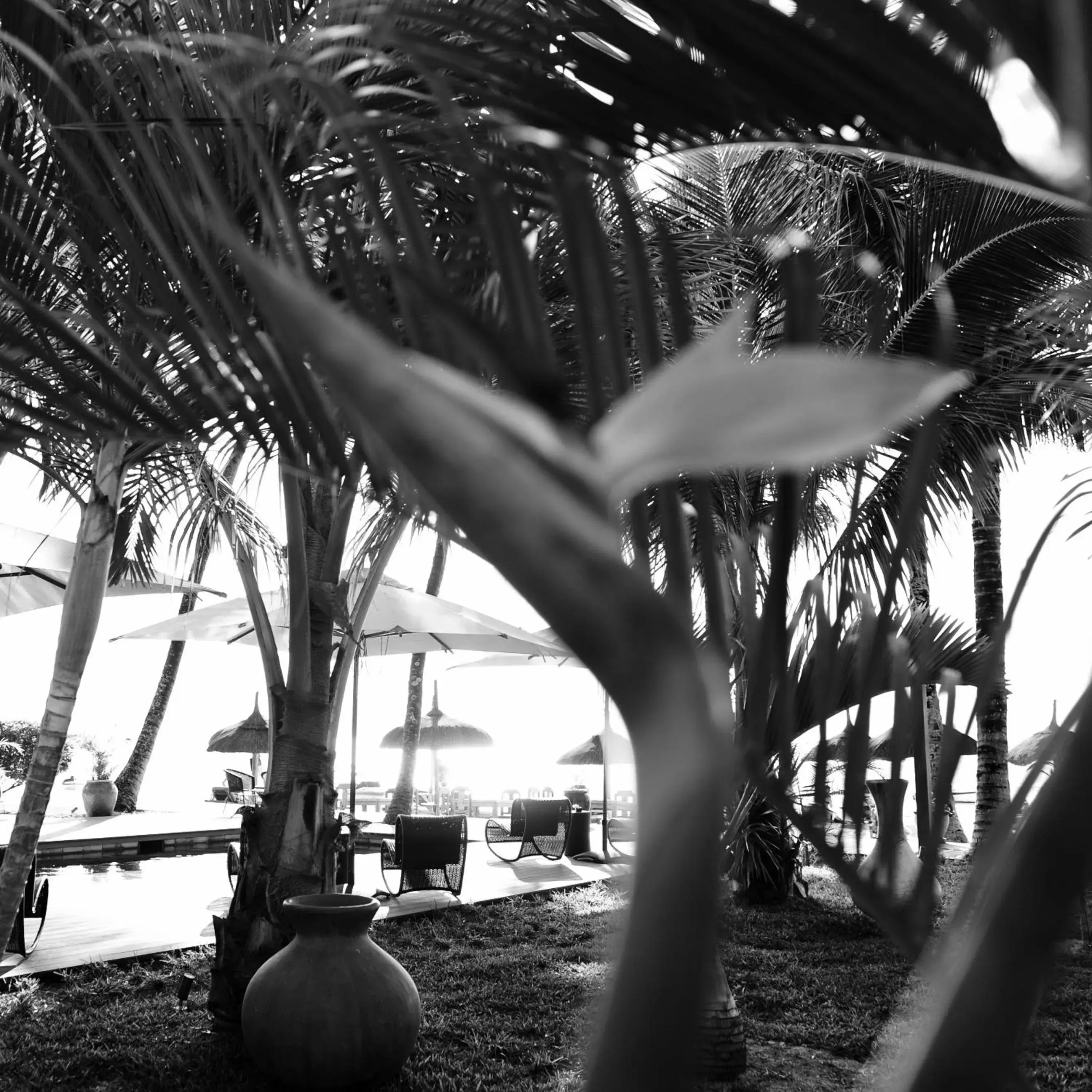 Swimming pool in Constance Sakoa Boutik Swimming pool in Constance Sakoa Boutik