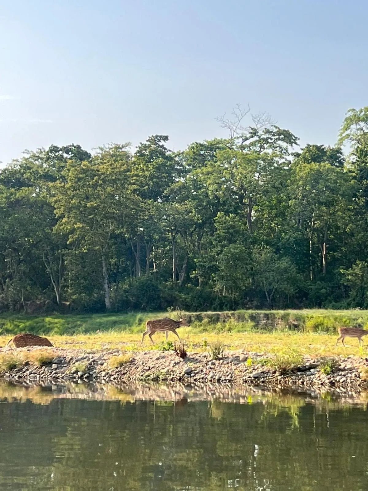 Activities in Hotel BhupuSainik Sauraha, Chitwan