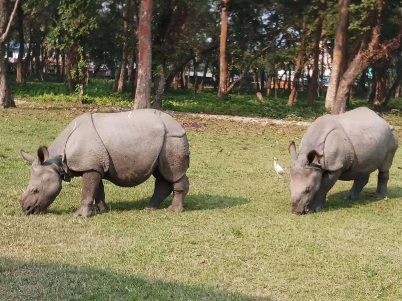 Activities in Hotel BhupuSainik Sauraha, Chitwan