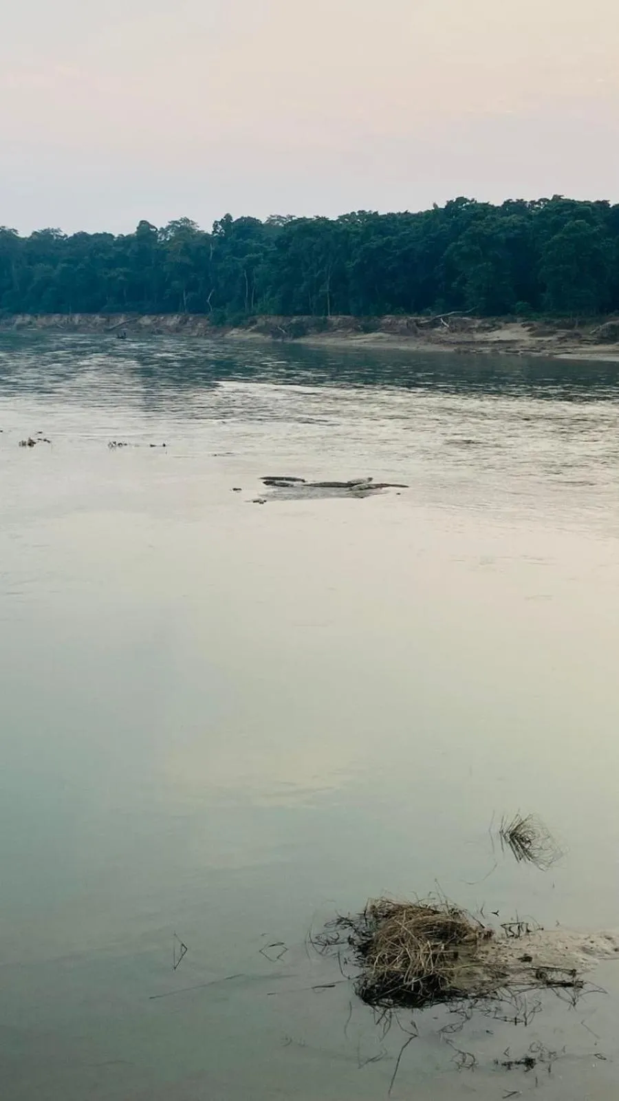 Other in Hotel BhupuSainik Sauraha, Chitwan