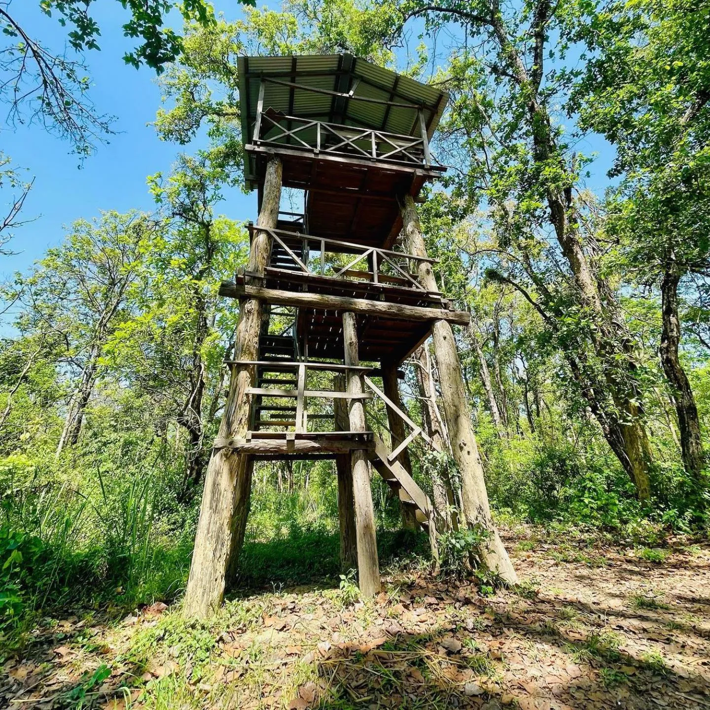 Activities in Hotel BhupuSainik Sauraha, Chitwan