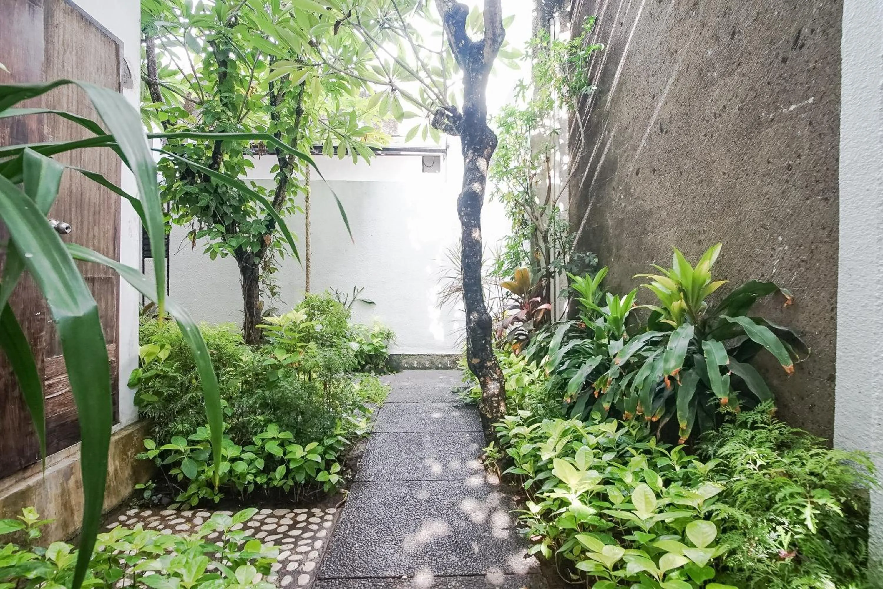 Garden in Queen Rose Villa & Spa