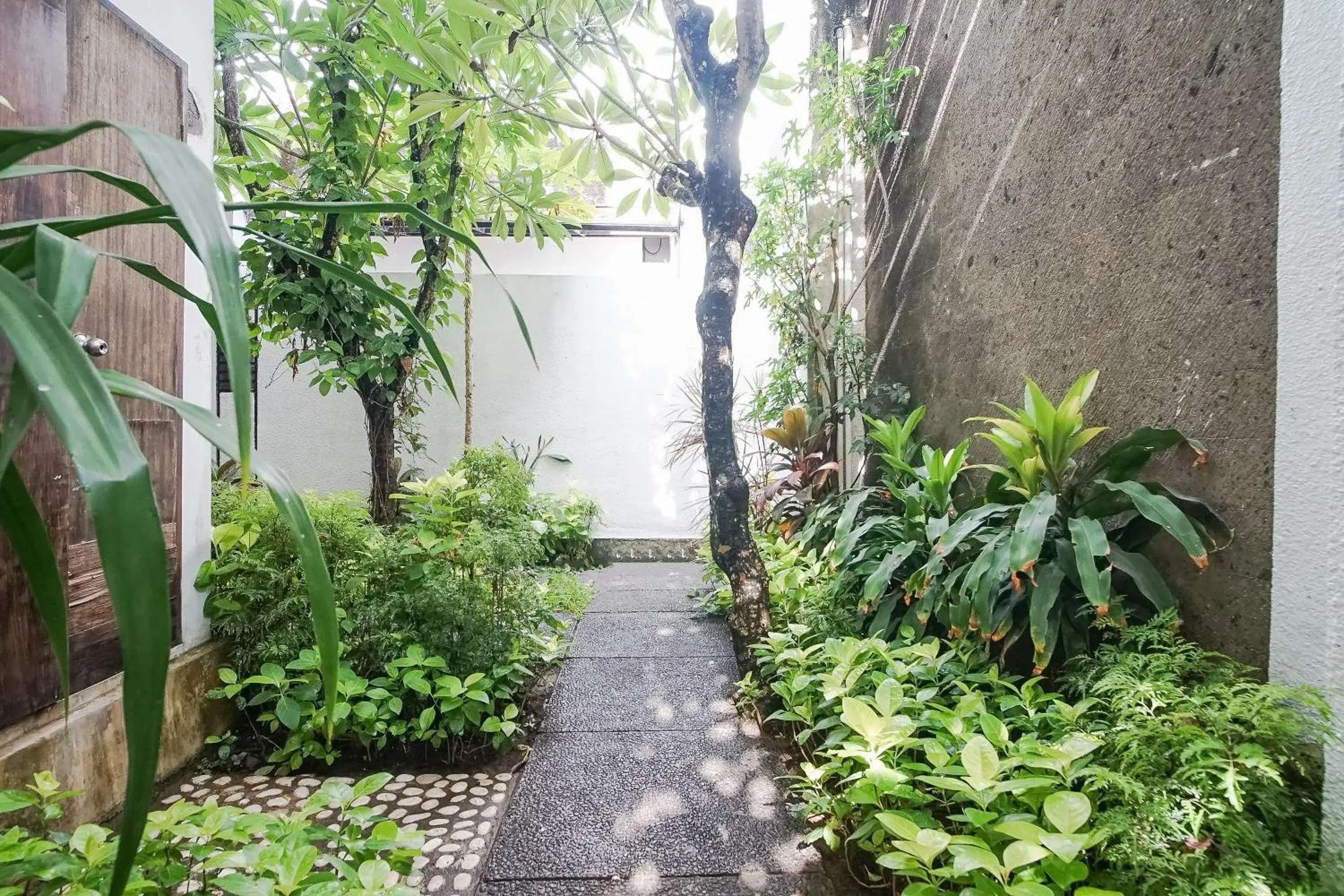 Garden in Queen Rose Villa & Spa Garden in Queen Rose Villa & Spa