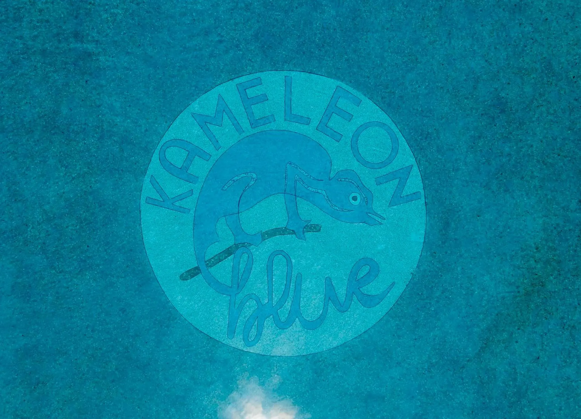 Property logo or sign in Kameleon Blue