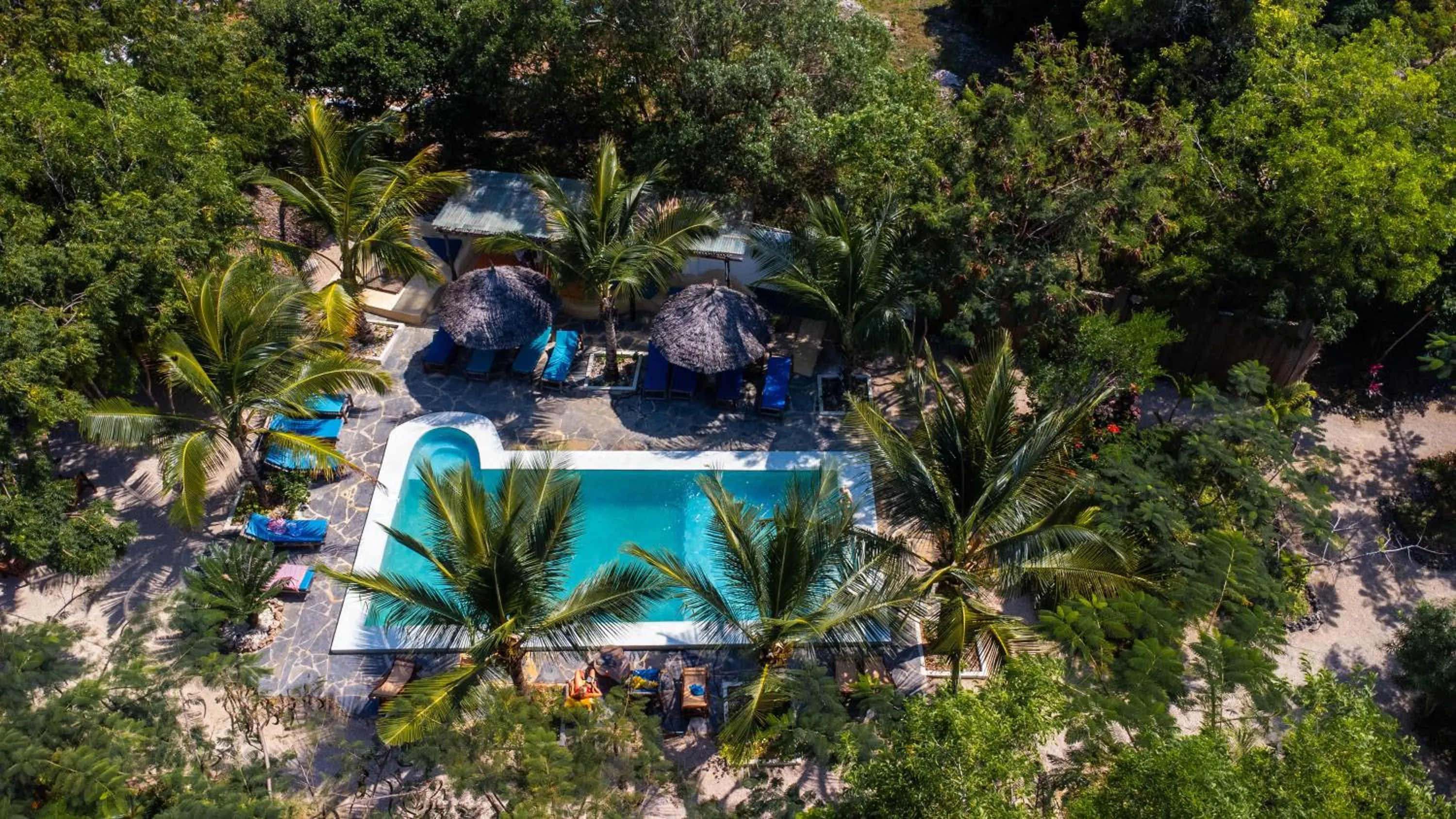 Day in Kameleon Blue