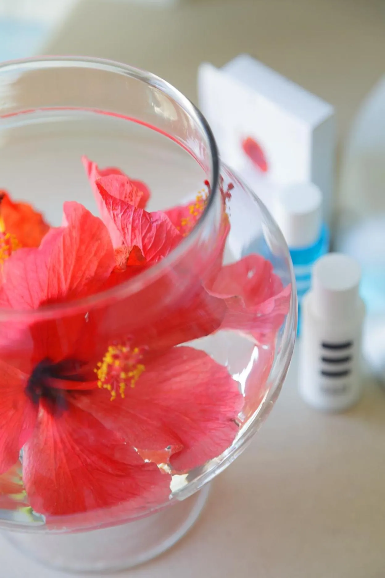 Decorative detail in Hotel Aurora