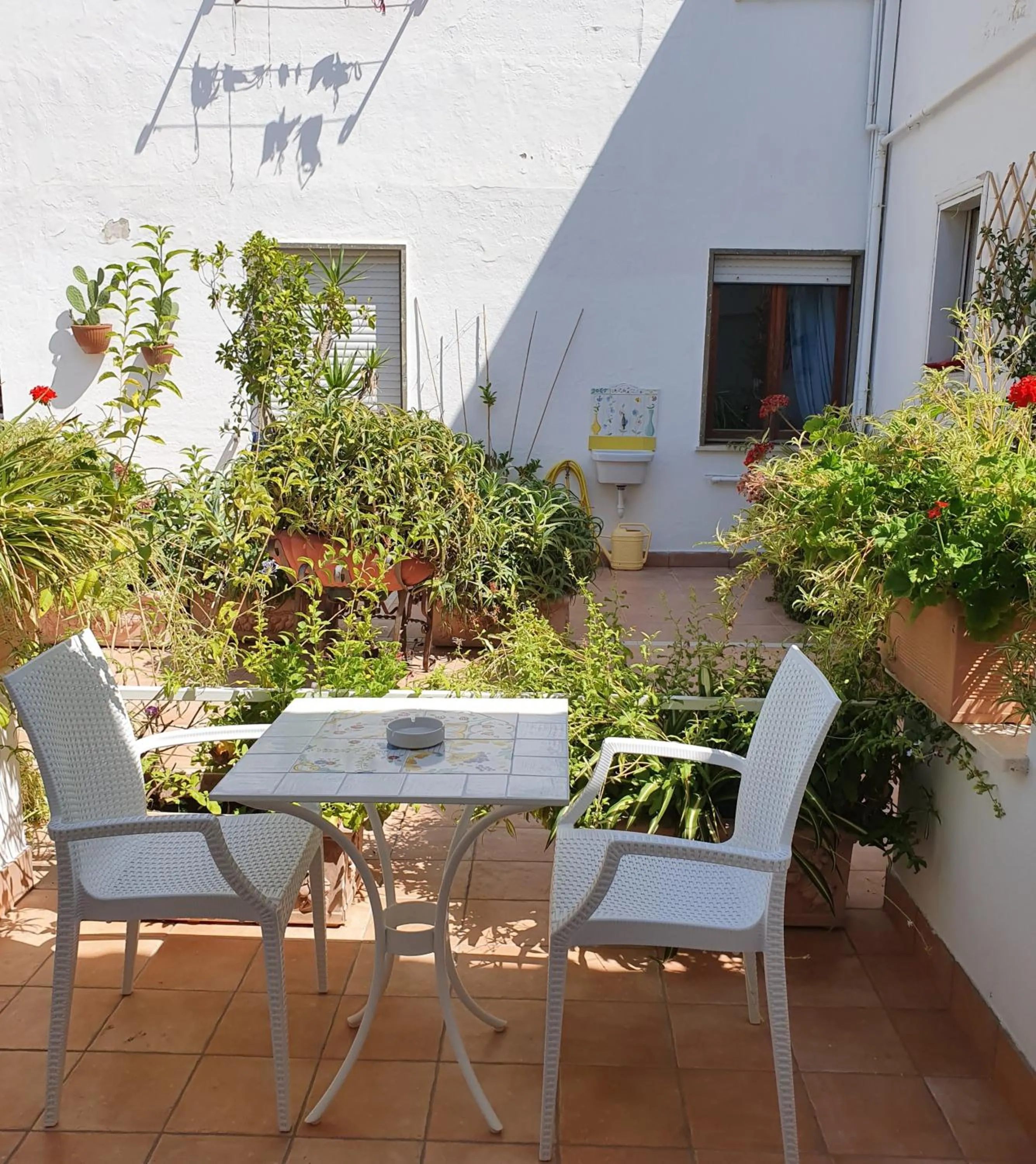 Balcony/Terrace in Hotel Aurora