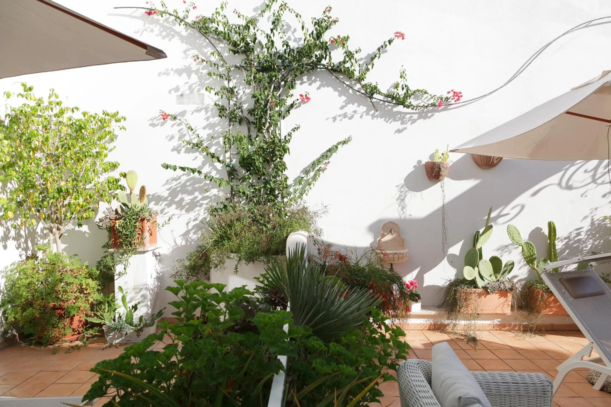 Balcony/Terrace in Hotel Aurora