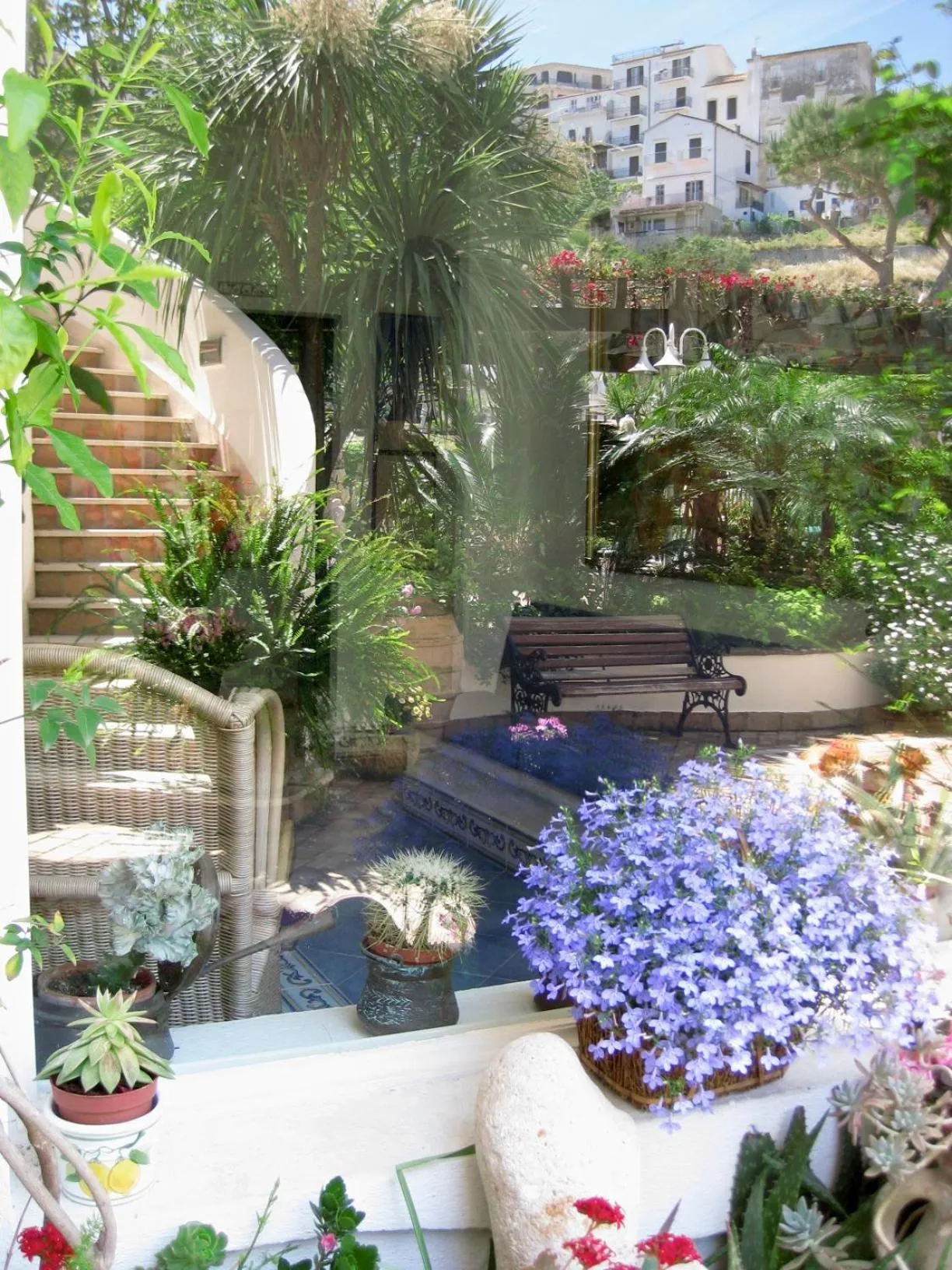 Garden in Hotel Aurora