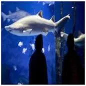 Guest House at Norwalk Inn