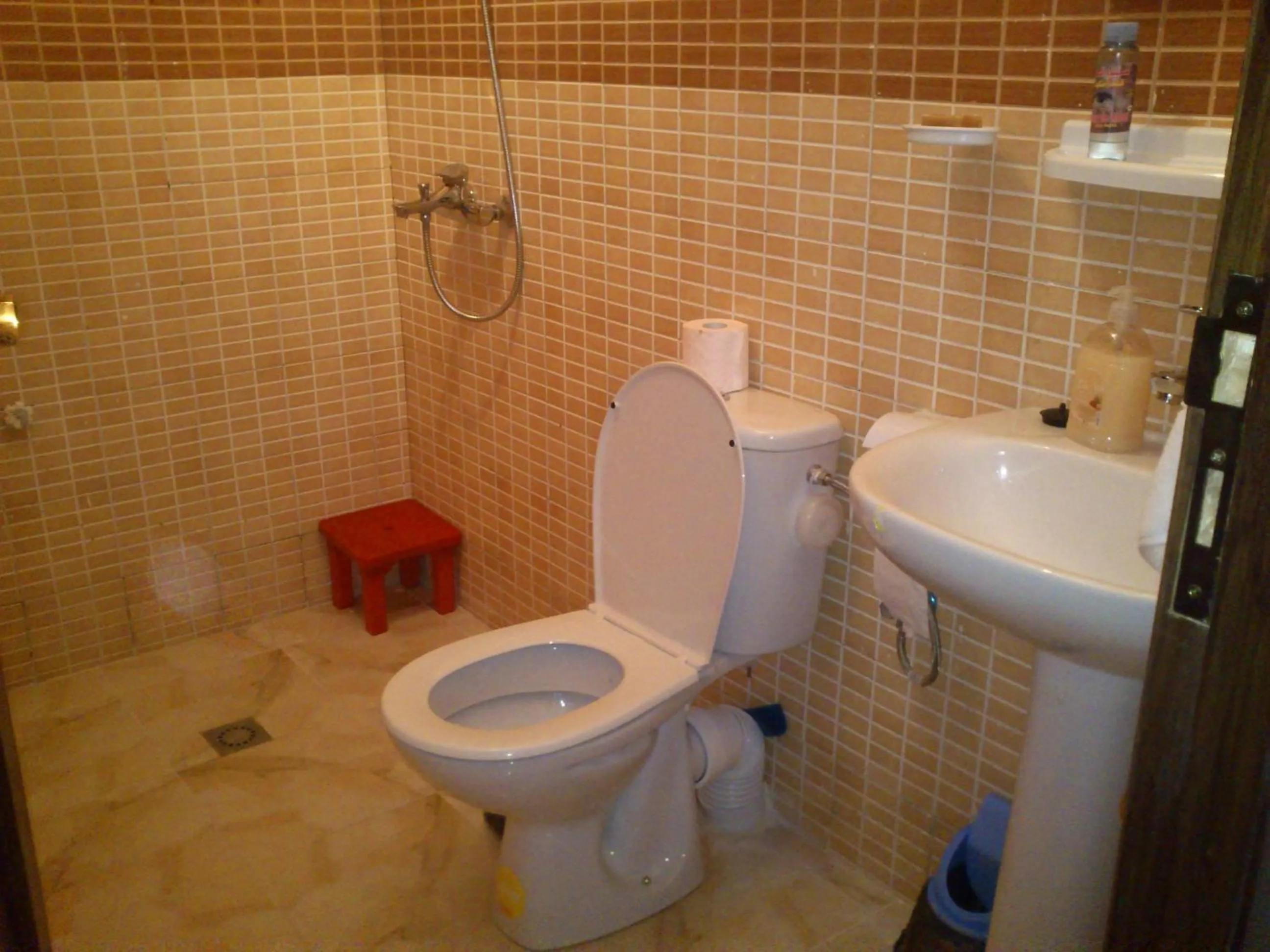 Shower in Magnifique Appartement Plage Saidia