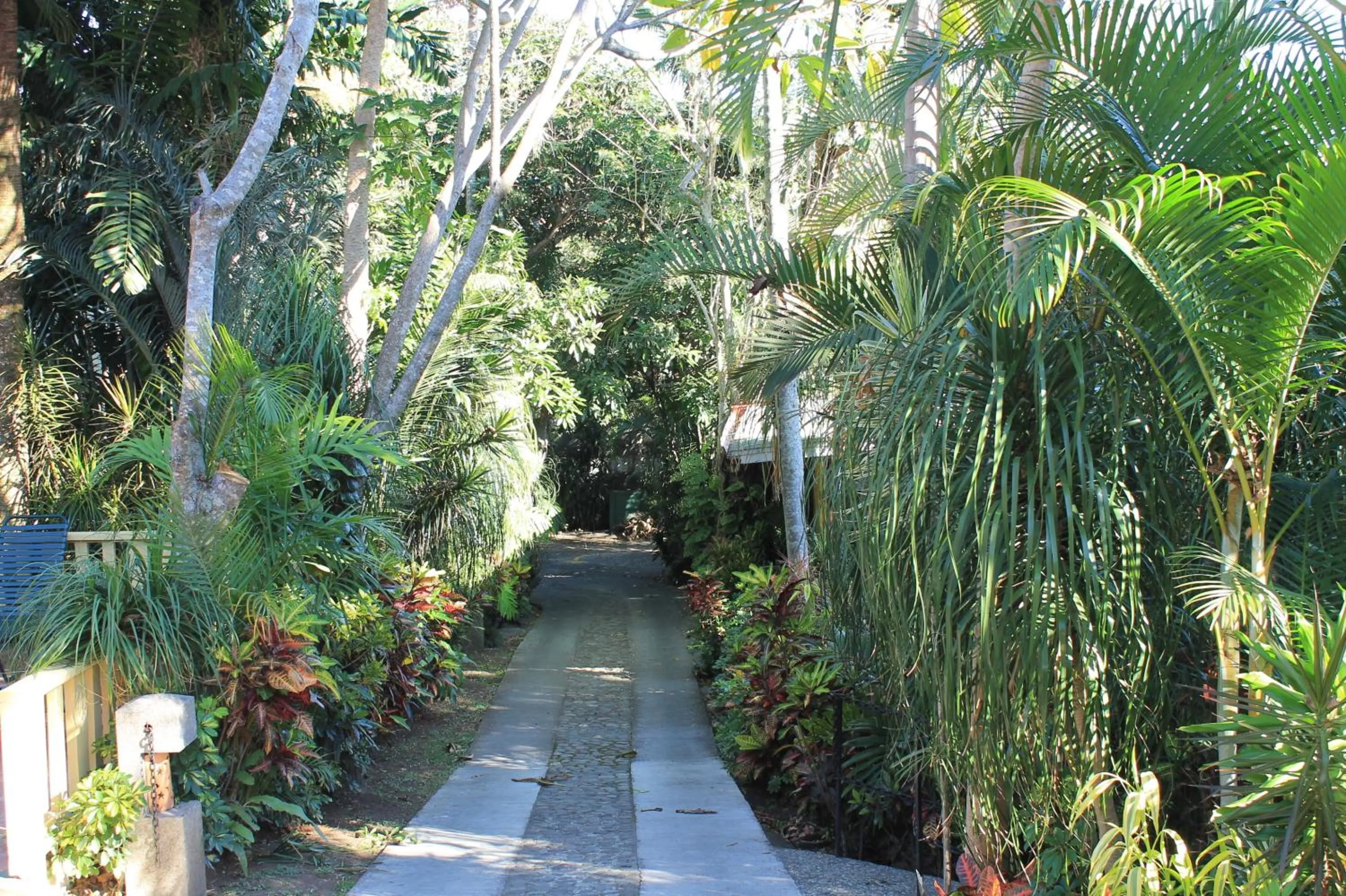 Area and facilities in Costa Verde Inn