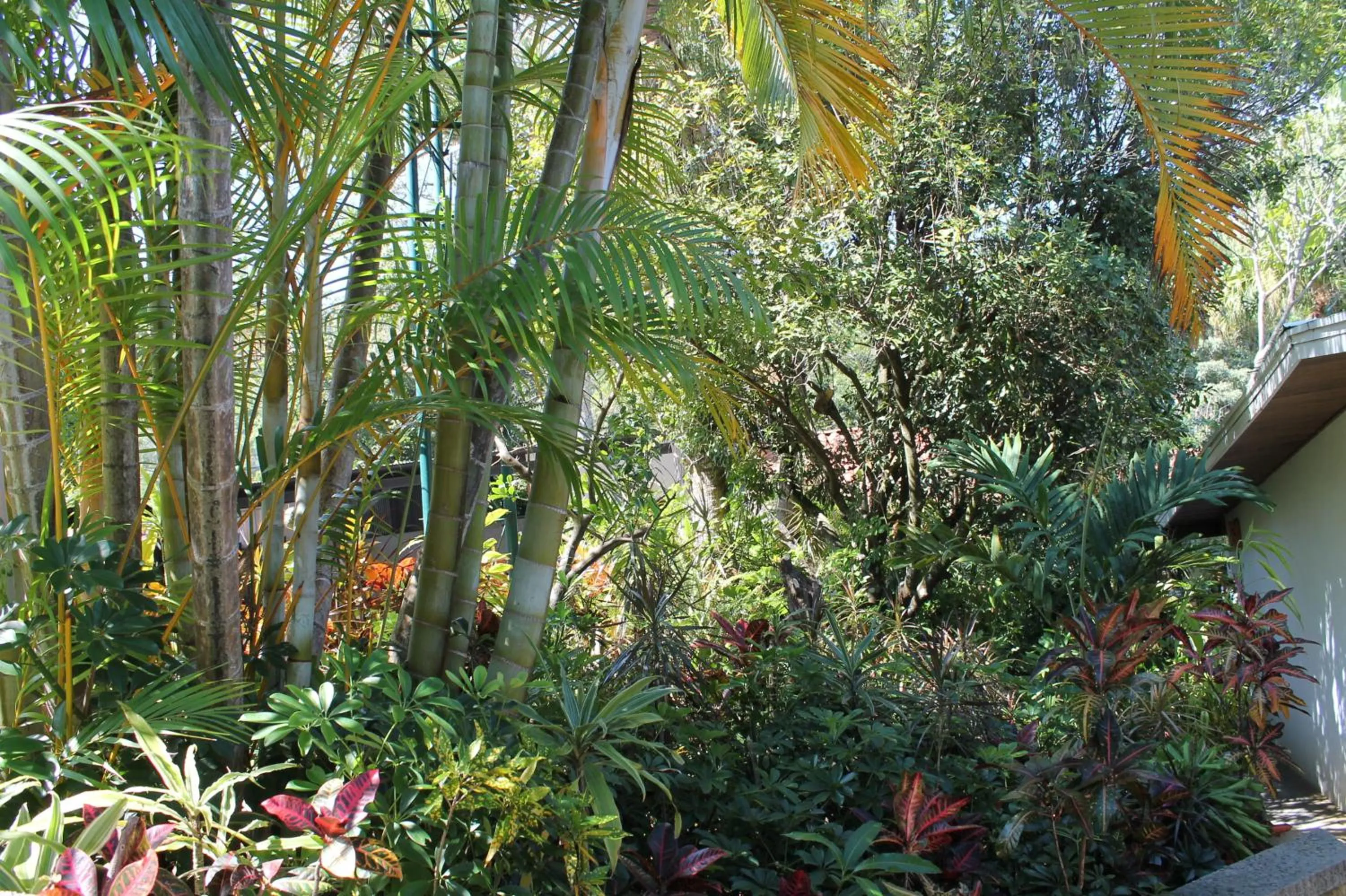 Garden in Costa Verde Inn