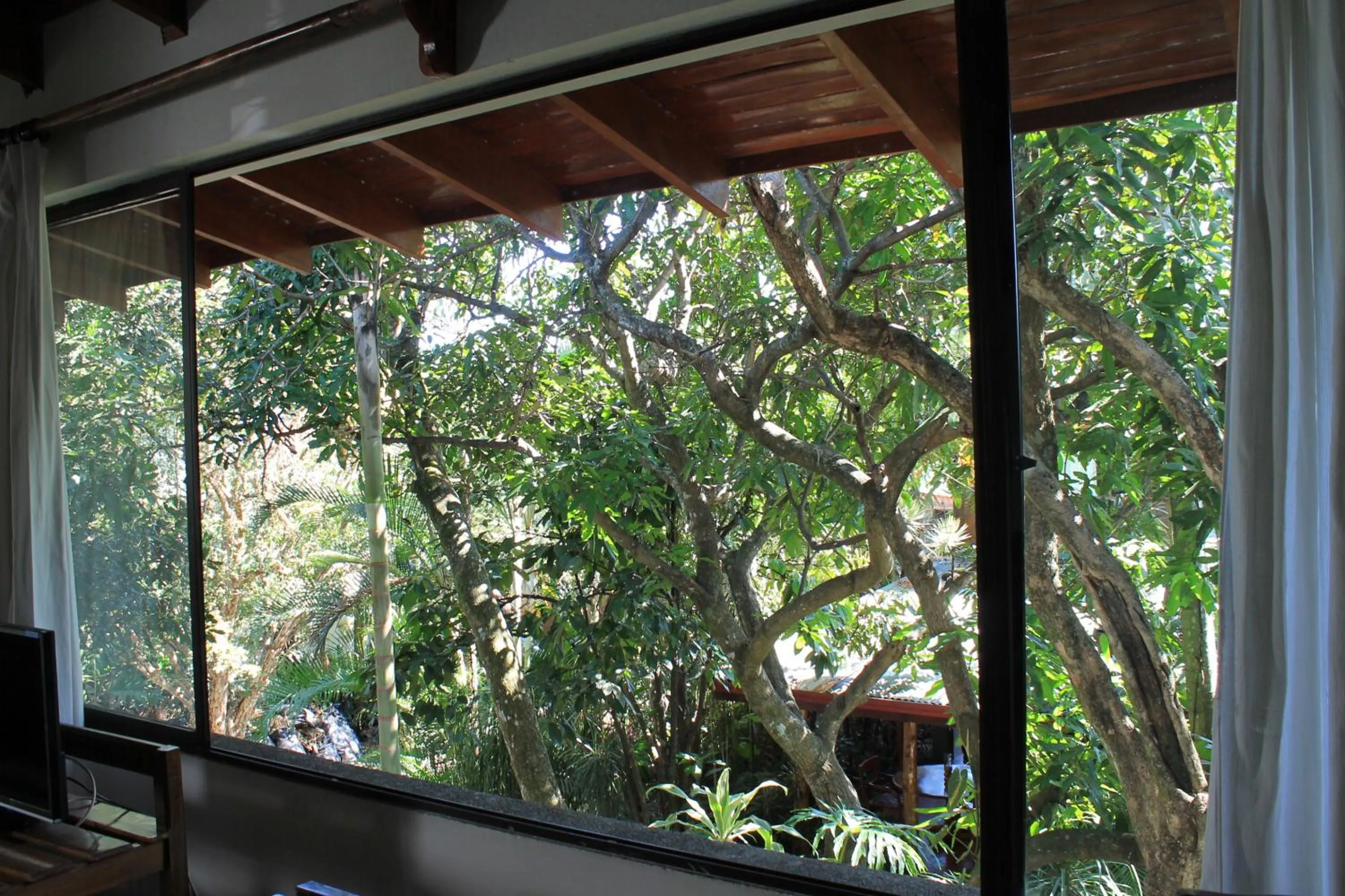 Garden view in Costa Verde Inn