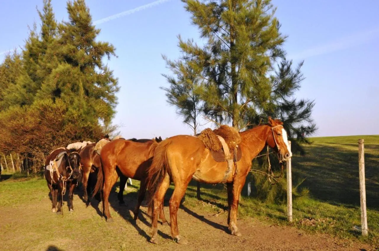 Altos del Arapey All Inclusive, Golf & Spa