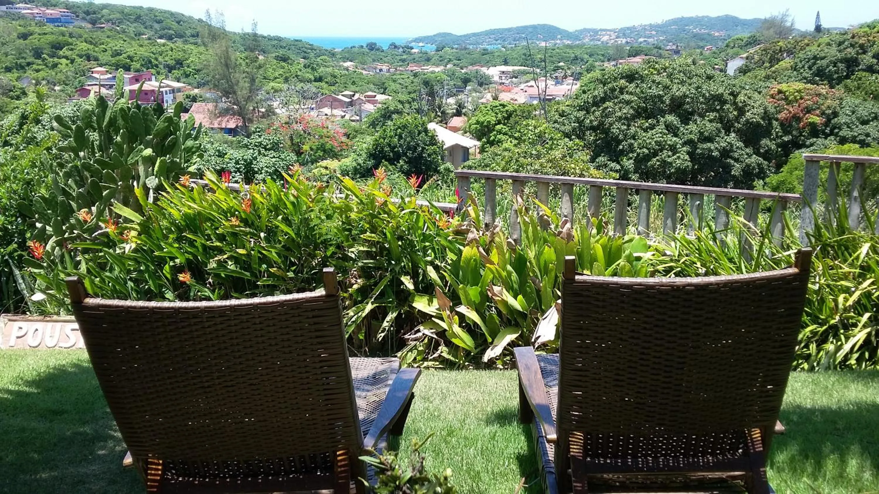 Garden in Pousada Zanzibar