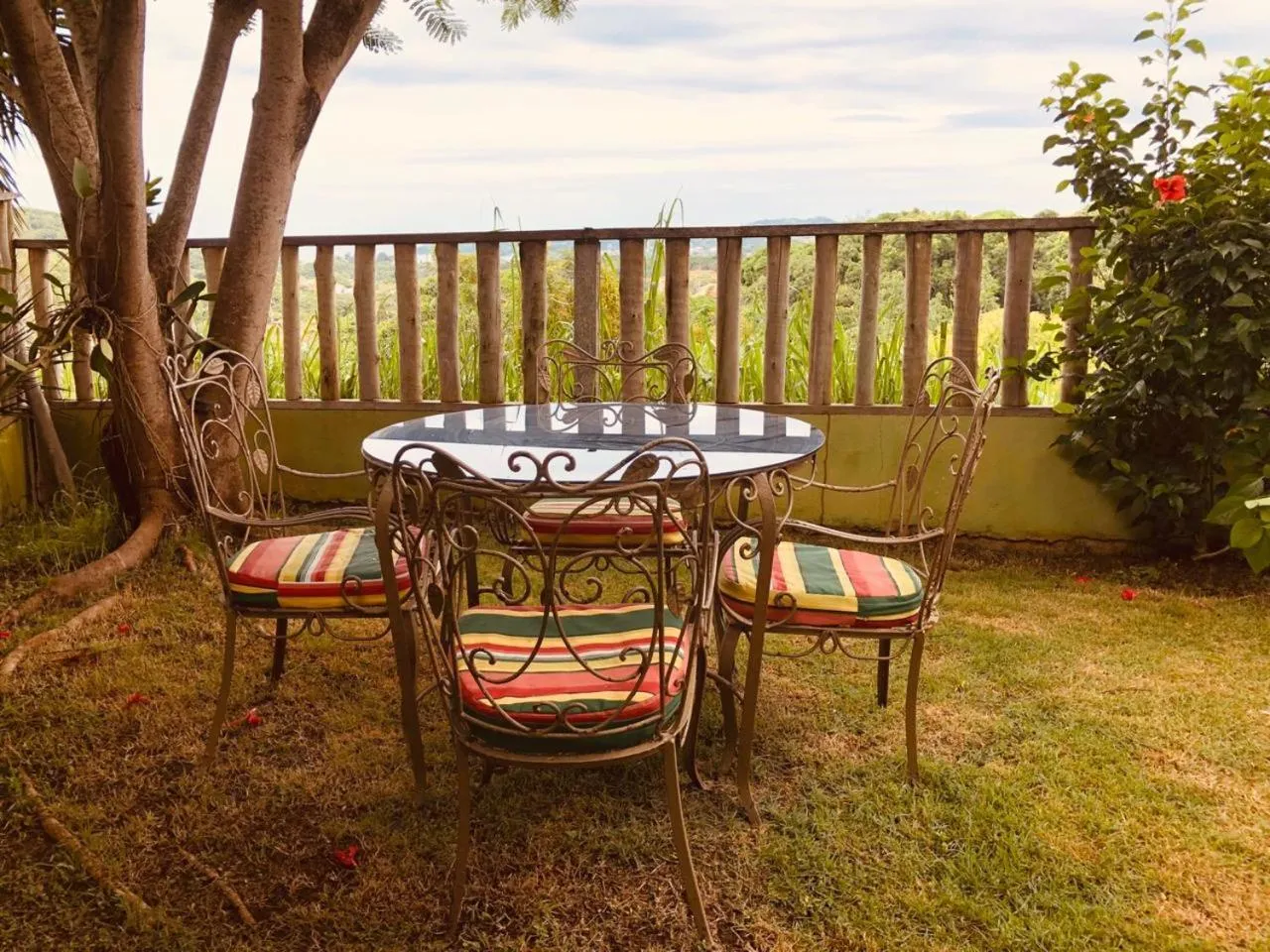 Garden in Pousada Zanzibar