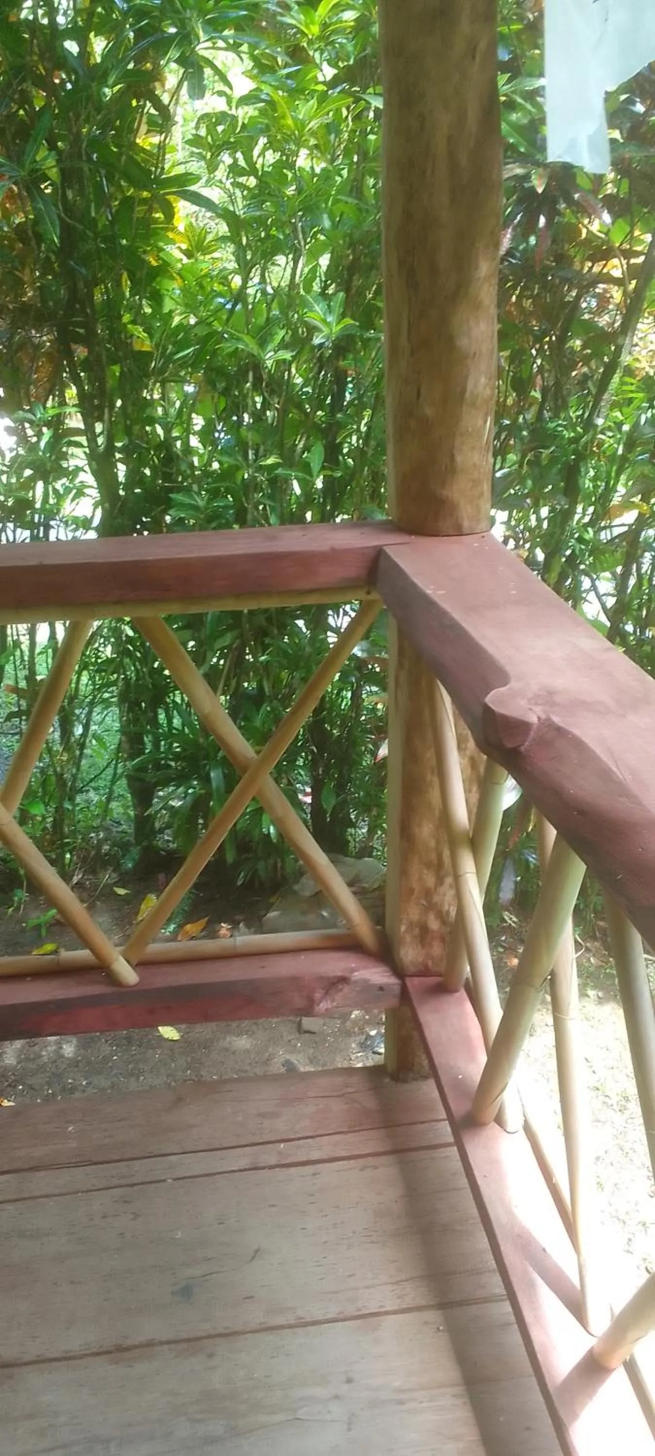 View (from property/room) in Natty Tropical Valley