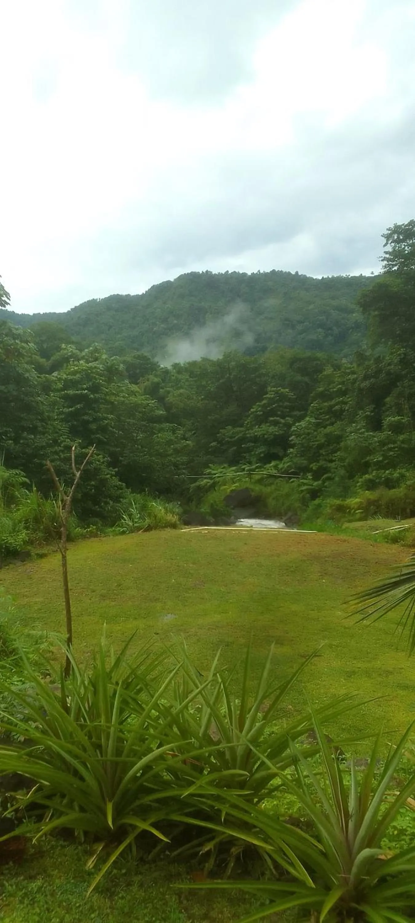 View (from property/room) in Natty Tropical Valley