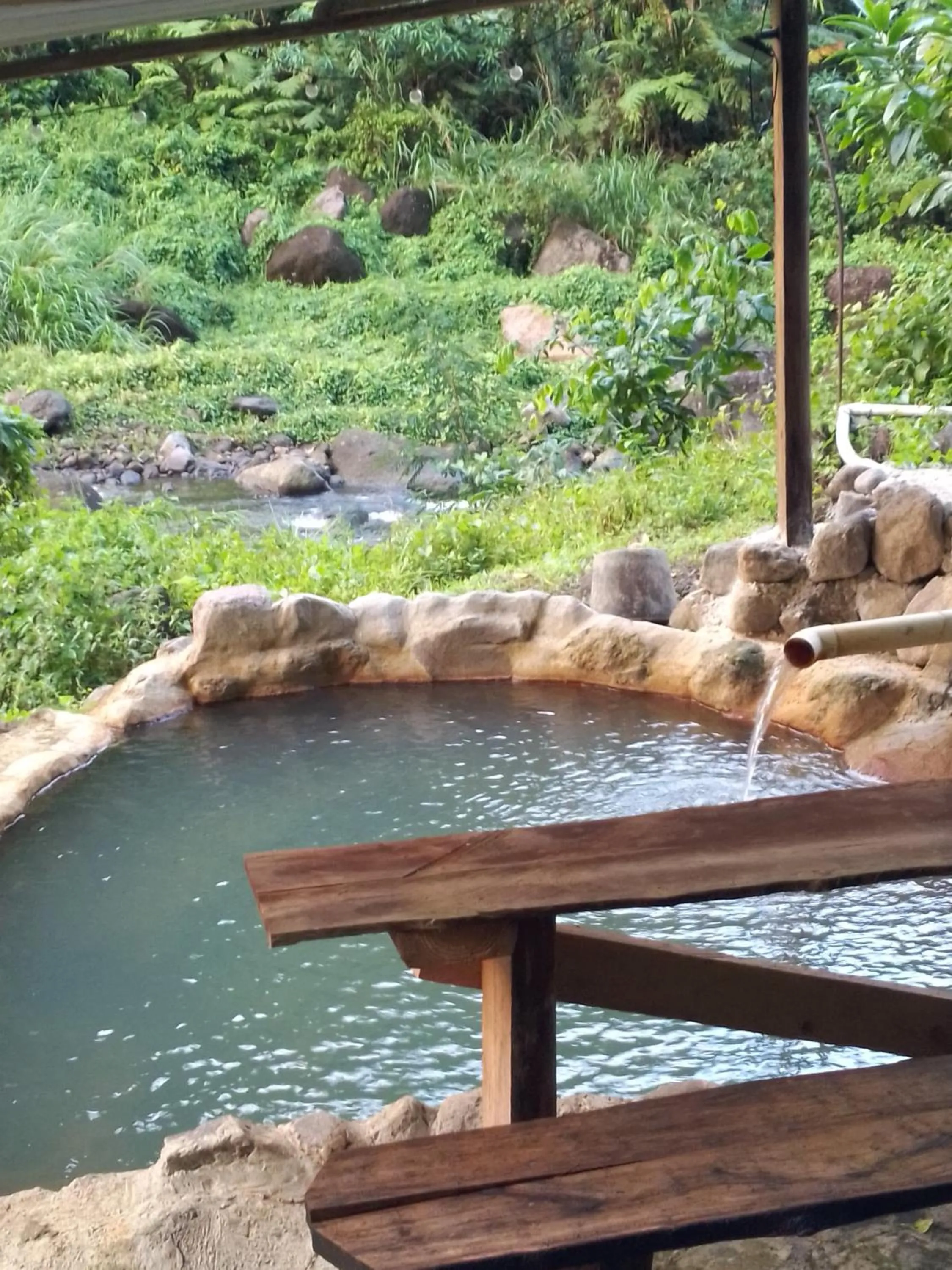Hot Spring Bath in Natty Tropical Valley