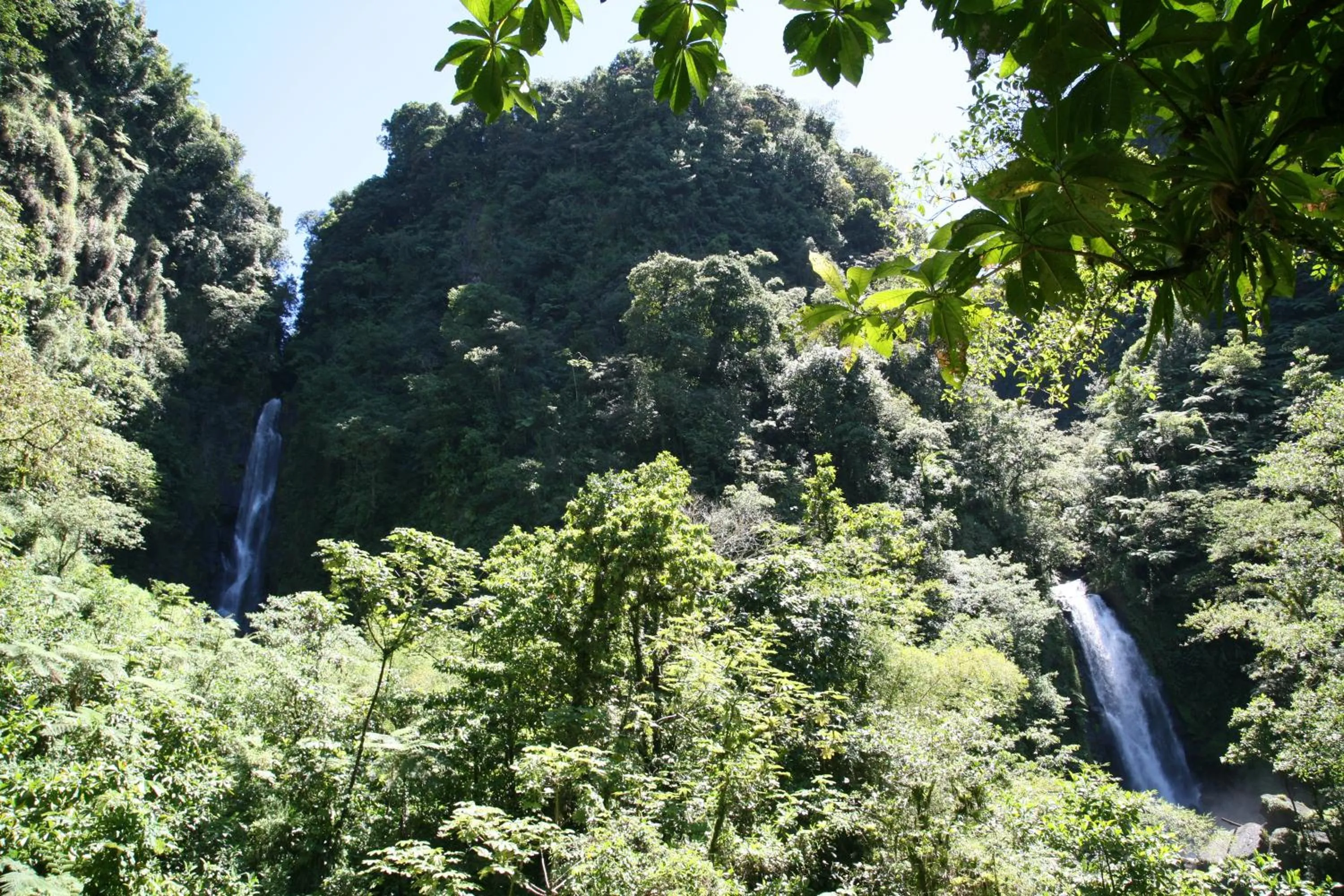 Nearby landmark in Natty Tropical Valley