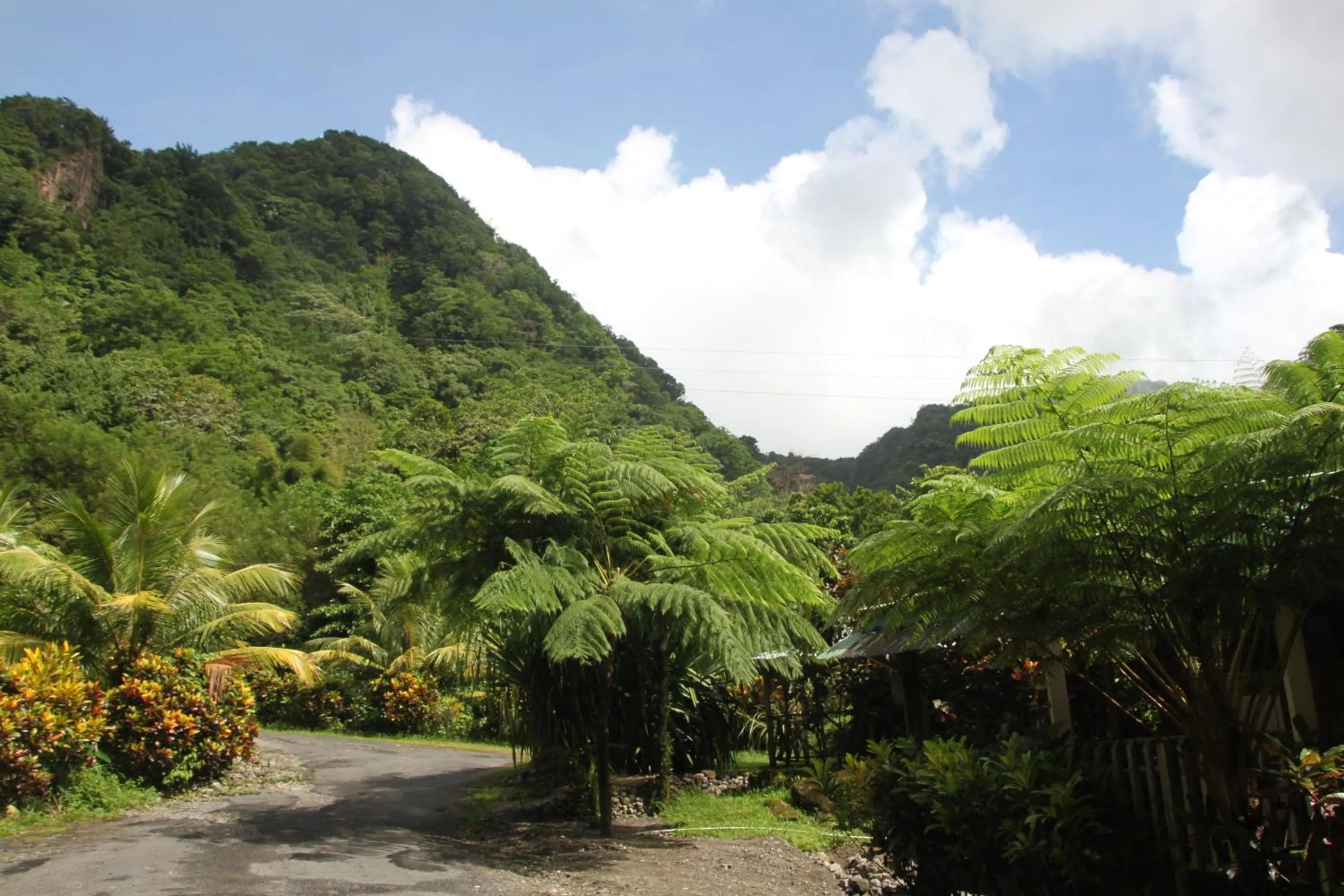 Nearby landmark in Natty Tropical Valley